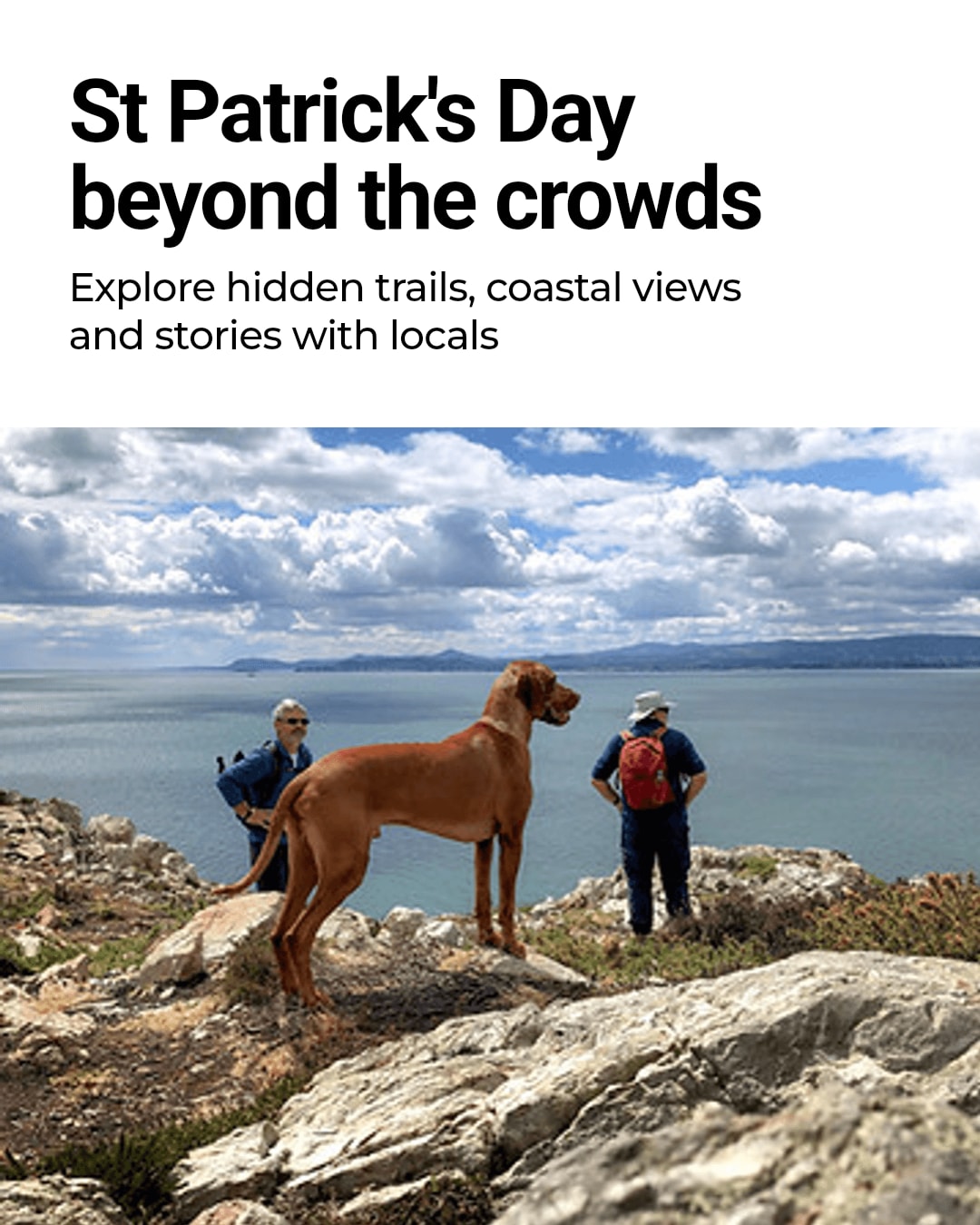 St Patrick's Day beyond the crowds. Hidden trails, coastal views & local stories await. #10YearsOfHowthAdventures #dublin #dublinireland