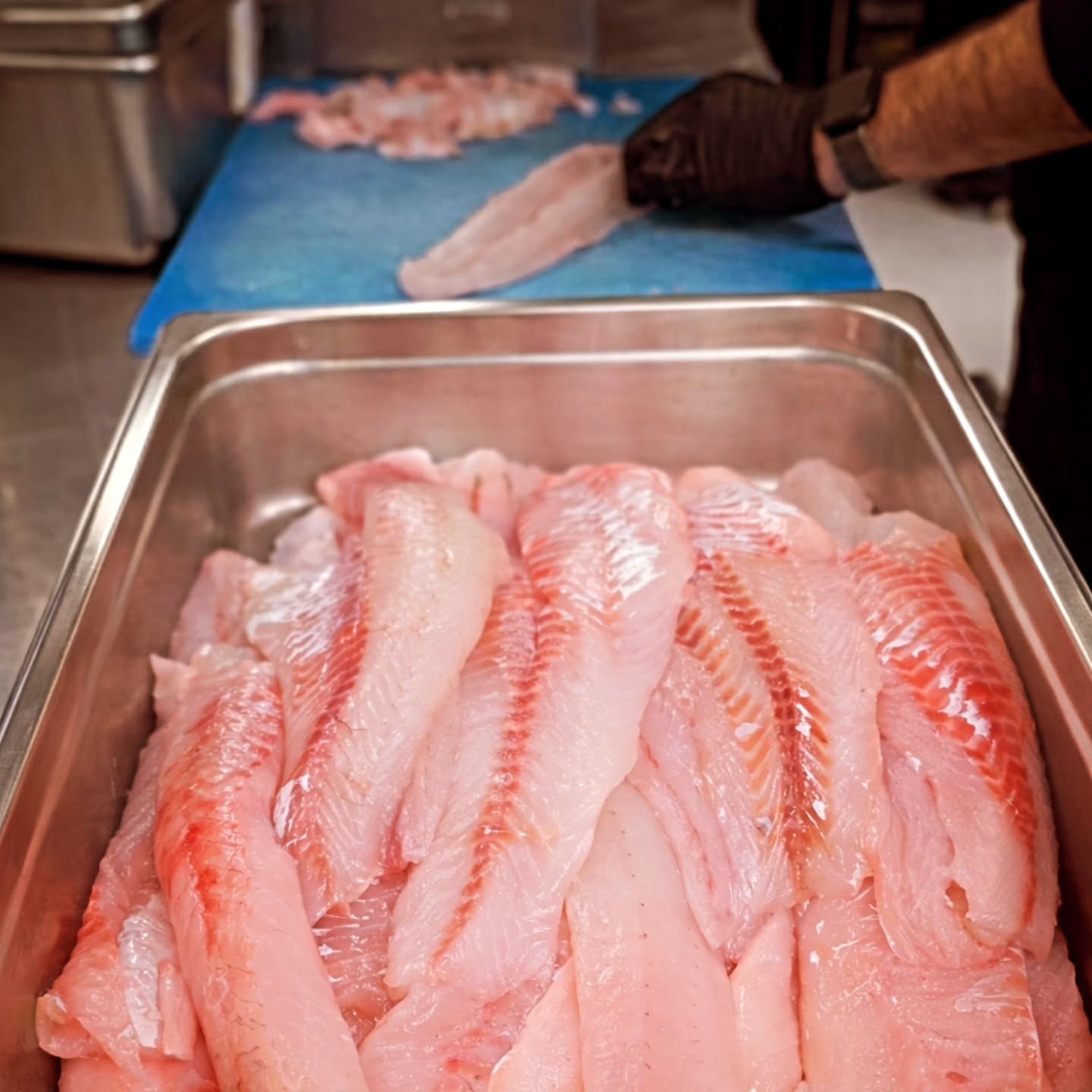 30 lbs of Fresh Walleye being prepped by Chef Eric for Today's Fish Fry Friday!!!
#fishfryfriday #alwaysfreshneverfrozen