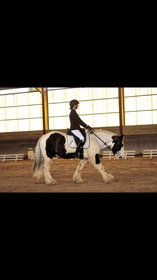 Hier a eu lieu notre toute première sortie en concours de dressage, et quelle joie pour moi d’avoir pu accompagner mes cavalières lors de leur tout premier concours ! ✨
C’était une grande première autant pour les cavalières que pour les chevaux. Nous avons eu la chance d’avoir un temps splendide, et les chevaux ont montré un super tempérament face à toute cette nouveauté.
Une piste pas si simple à dérouler pour eux : un manège un peu sombre dans lequel ils n’avaient jamais mis les pieds. Malgré cela, ils s’en sont sortis comme des chefs, grâce au calme, à la patience et à la détermination de leurs cavalières 👏
🐴 Jeinko Maestoso Dune sort avec 64 % sur sa Club 3 avec Faustine.
🐴 Dipsy Cob sort avec 61 % sur sa Poney 3 avec Tess.
Je suis extrêmement fière de mes chevaux, mais aussi de mes cavalières qui ont redoublé d’efforts à l’entraînement pour préparer ce concours. Elles ont su gérer cette journée avec passion, sérieux et beaucoup de motivation.
Une très belle première expérience qui, je l’espère, n’est que le début de l’aventure… 🤍
Hâte de voir la suite !
#concours #dressage #Lipizzan #horses #équitation