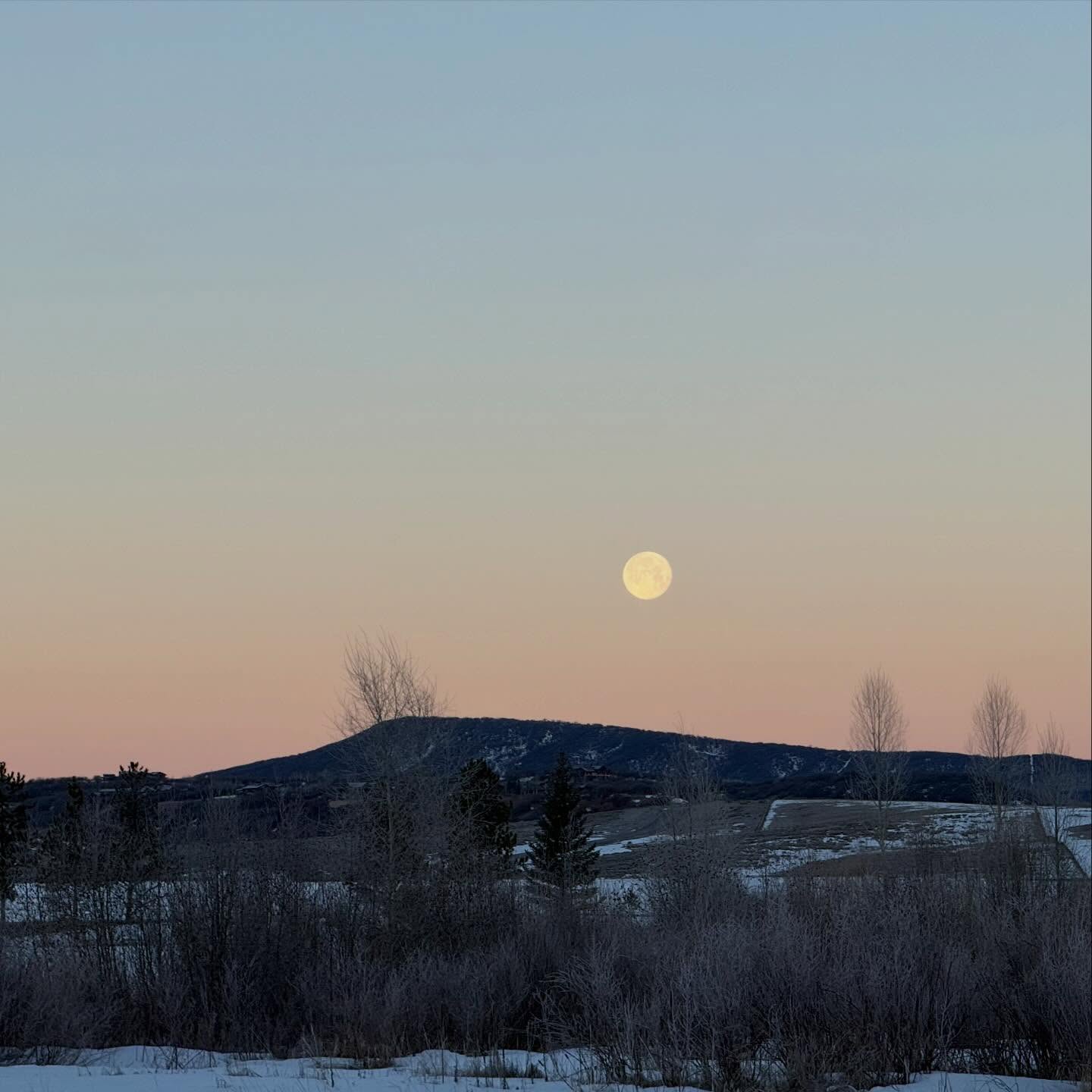 The Moon is #feminine she is #power she is #fertility she is #light and she is #dark
.
She is YOU.
.
Leave a Moon 🌕 🌙 🌑 in the comments if your blood 🩸aligns with a certain moon phase.