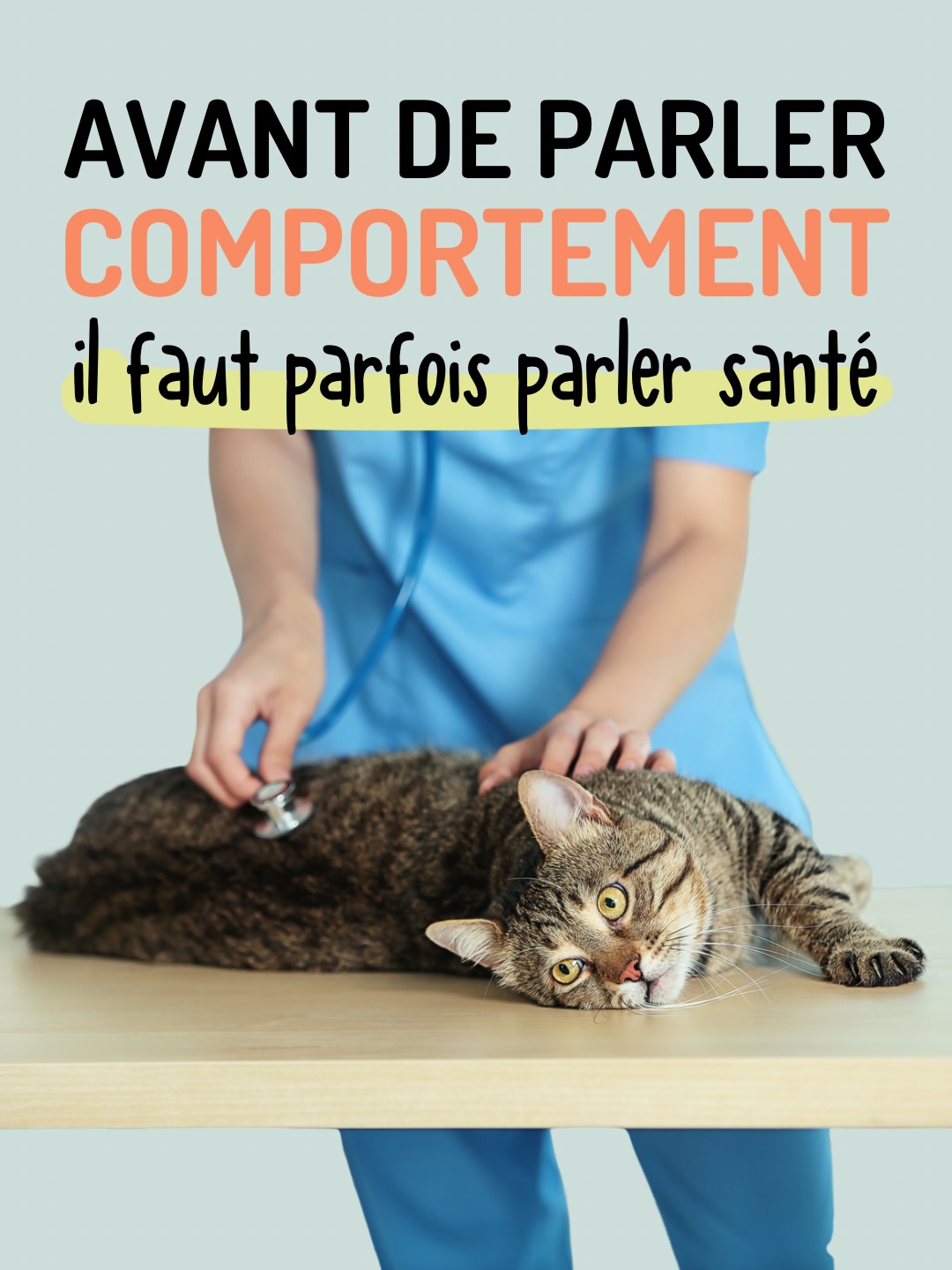 Dans mon boulot de comportementaliste, la question que je pose le plus souvent, c’est :
« Est-ce que vous avez consulté le vétérinaire ? »
Et dans ce post, je t’explique justement pourquoi je peux parfois être un peu… insistante 😅
Récemment, j’ai encore accompagné plusieurs cas pour lesquels les problématiques avaient en réalité une origine médicale. Le vétérinaire avait bien été consulté, mais sans investigations très poussées. 🔎✖️
Au fil du suivi, j’ai recommandé de creuser davantage… et des examens plus approfondis ont finalement révélé des problèmes de santé: parasitoses internes, cristaux urinaires, cystite… 🤒
Et ça arrive beaucoup plus souvent qu’on ne le pense!
C’est pour ça que je reste toujours super vigilante sur la dimension médicale, et que je travaille en lien avec les vétérinaires. 🩺
Pour moi, c’est bien sûr une question de déontologie, de responsabilité… mais aussi simplement de bon sens: on ne peut pas analyser sérieusement le comportement d’un chat sans garder en tête ce qui peut se jouer du côté de sa santé.
La santé de ton chat compte autant pour moi que son bien-être… 💚 Et les deux sont souvent bien plus liés qu’on ne l’imagine.
- - - - - -
💬 Et toi, ça t’est déjà arrivé de penser à du comportemental alors que c’était médical ?
#comportementchat #santechat #veterinaire