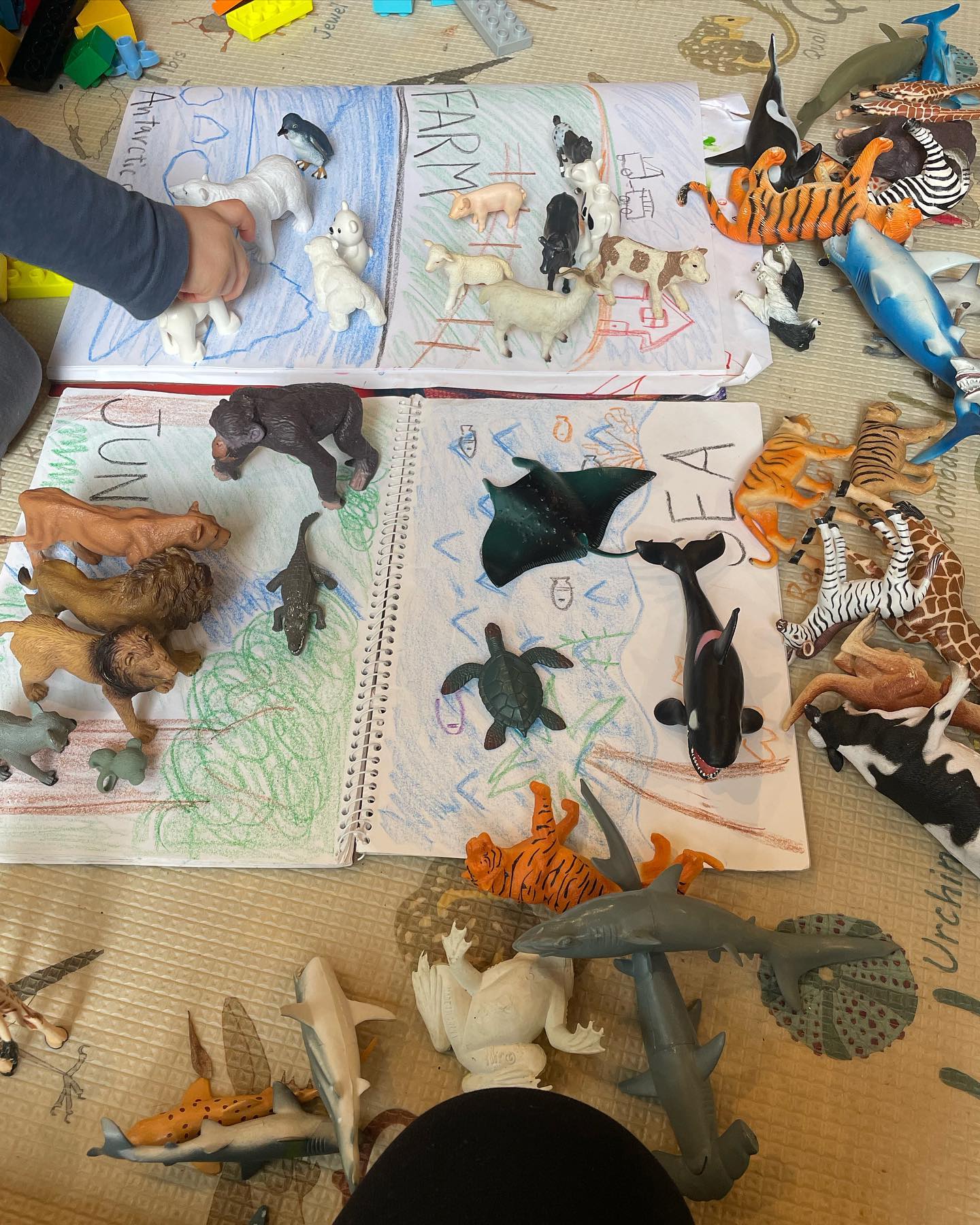 Rainy day activities ☔️🦓🦈☀️
1, This activities to sort animals into wildlife animals, sea creatures, animals on farms, animals in the Antarctic, etc! 🐨🦭🐷 perfect for around 3-4 years old!
It can help improve categorisation and critical thinking skills 💕 It also helps in developing knowledge about different habitats and ecosystems!
2, This is a matching activity where you match cars with the numbered parking spaces🚗🚙 This activity helps with visual discrimination and matching skills!