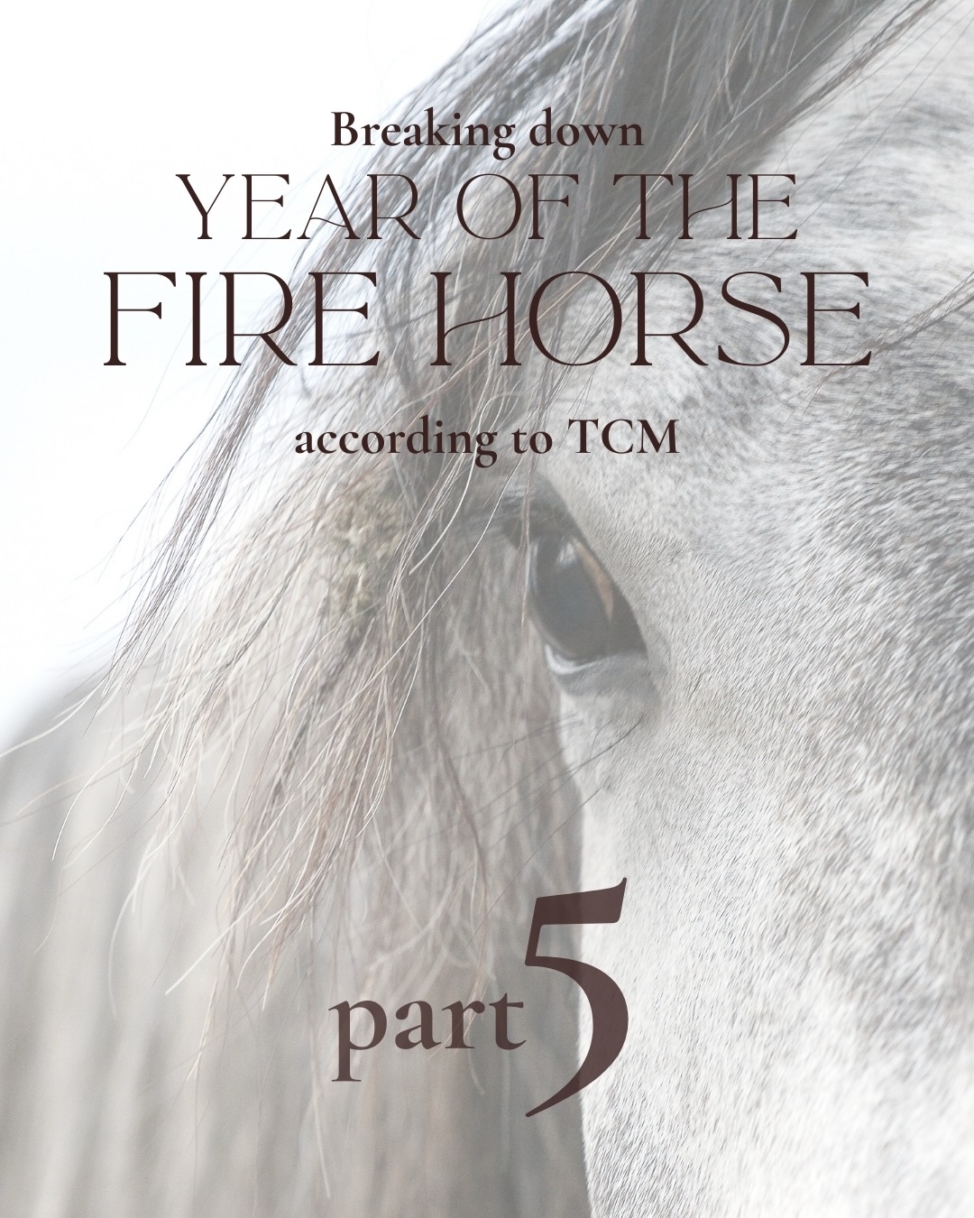 We are nearing the end with this mini series and this episode we are diving into the business side of the Fire Horse đ„ Swipe and readâš
Next episode will be the final part of this series where we will explore the year of the fire horse, relationships and personal communication all according to TCM, so stay tuned!
âą
âą
âą
#yearofthefirehorse #yearofthehorse #tcm #daily #firehorse