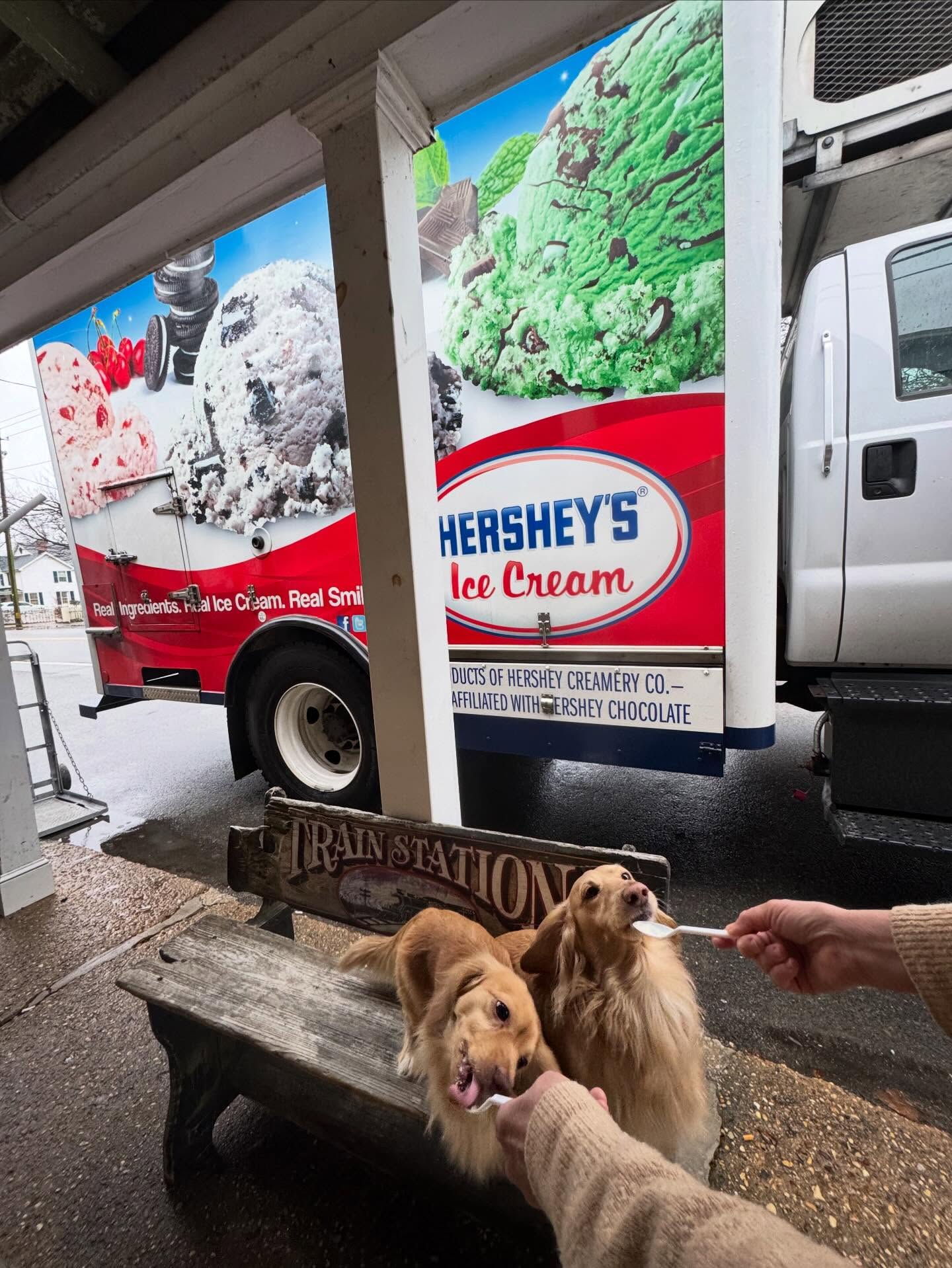 Fresh ice cream delivery from @hersheysicecream !! We have our taste testers hard at work.