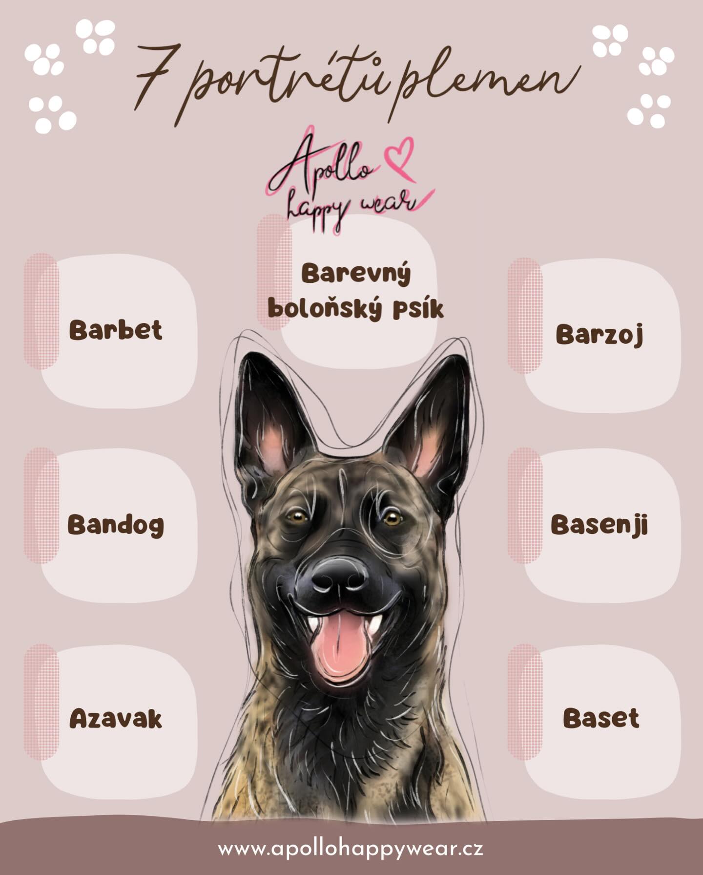 ❤️ 7 plemen rukopisem naší dílny ❤️
5.díl miniseriál je po delší pauze zase tady! Několikrát do roka (každý měsíc ideálně 😂) vydávám tento miniseriál jako zajímavost a záznam pokoření mého osobního stropu - mít všechna plemena v portfoliu.
Chceme tímto zábavně a zajímavě odpovědět na dva nejčastější typy dotazů, a to: 👉 Kreslila jsi už švýcara? Boxera? Dogu? 👉 Nehledáte do spolupráce pinče? Naháče? Samojeda?
Plemen je stovka, takže tento rok se máte vždy na co těšit 😍 a dnes pokračujeme (slabším počtem, ale přeci a hlavě konečně písmenko B) těmito krasavci:
▪️ azavak
▪️ bandog
▪️ barbet
▪️ barevný boloňský psík
▪️ barzoj
▪️ basenji
▪️ baset
Přiznávám, náš pomyslný cíl, mít v portfoliu všechna plemena nemáme zdaleka naplněn, takže pokud u nějakého pejska uvidíš status 🖤 HLEDÁME 🖤, neváhej a napiš nám - obraz téměř za náklady čeká právě na tebe a pomůžeš nám to dotáhnout do cíle! ❤️
Krásný zbytek posledních zimních dnů s chlupáči ❄️🌨️🥶
#bandogcz #azavak #barbetdog #barzoj #basenjiczech