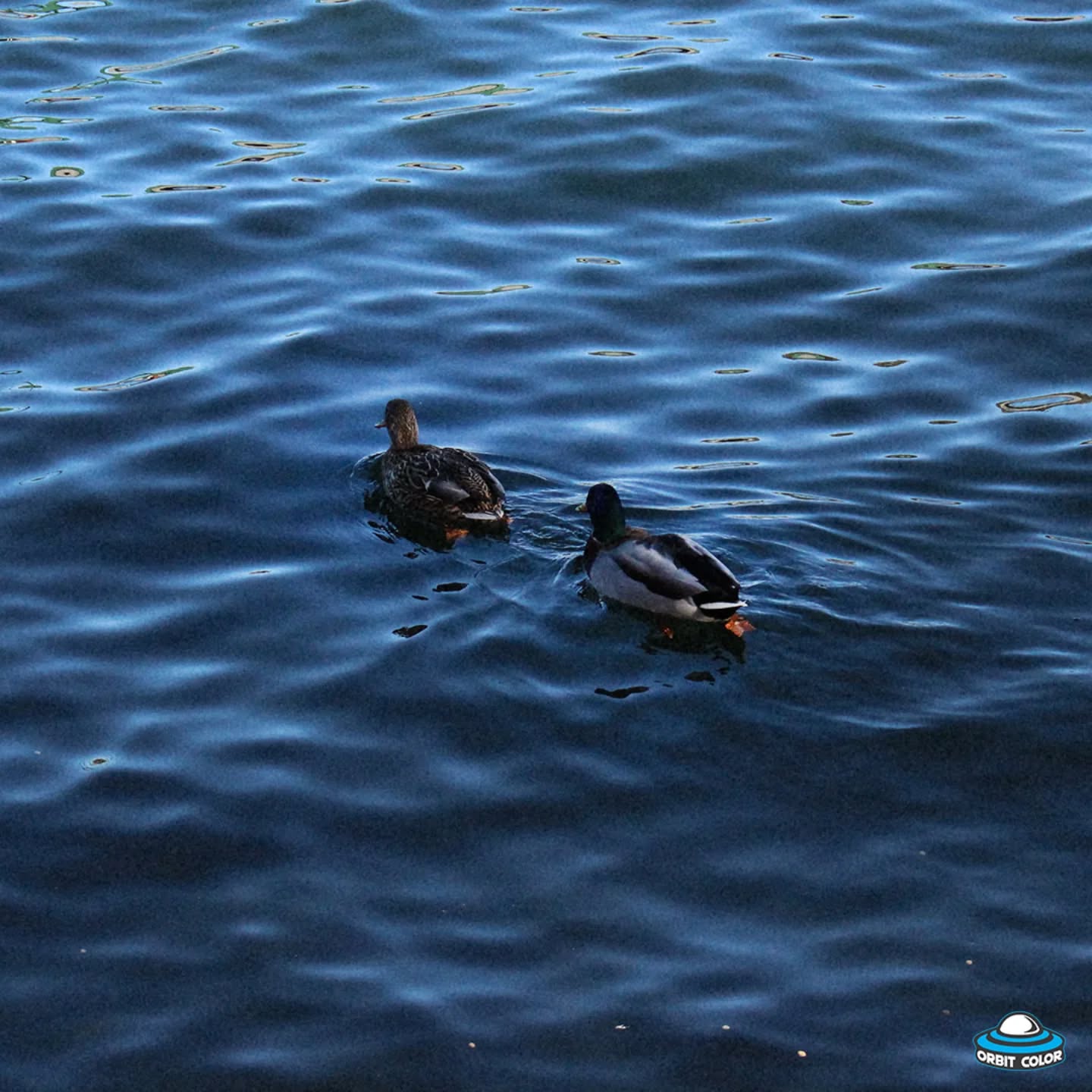 📌Lake Arrowhead, CA