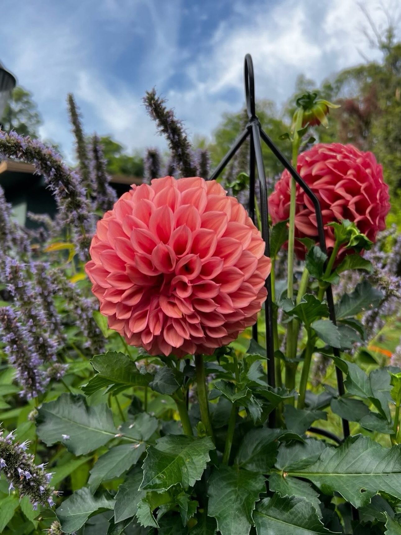 March has been bloomin’ 💐✨— Welcome to the Slow Flowers Society friends! Featuring: @goodfriendfelicia @jaynemargaretphotography @wildchildflowerco @serenityhillflowerfarm
To become a part of the Slow Flowers Society and be listed in our online directory, sign up today at www.slowflowers.com/join 🪻🌹🌻🌷
#slowflowerssociety #slowflowers #slowflowersmovement #slowflowerscommunity #sustainableflowers