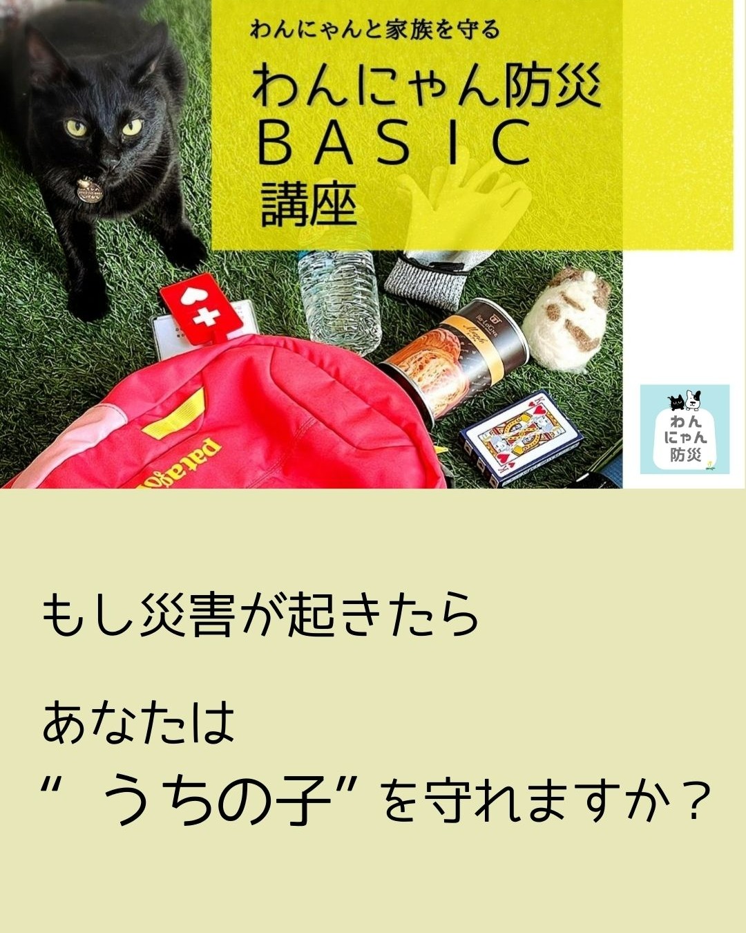 _
もし災害が起きたら
あなたは “うちの子” を守れますか?
ペットは自分で避難することができません。
だからこそ、守れるのは飼い主の備えです。
わんにゃん防災BASIC講座では
ペットと暮らす家庭のための
防災の基本を学びます。
✔ 同行避難
✔ 在宅避難
✔ ペット備蓄
✔ 迷子対策
ペットがいても、いなくても。
「命を守る備え」を一緒に考えてみませんか?
【2026年 上半期開催】
3/22(1DAY)
5/22・23(2DAYS)
7/25(1DAY)
▼詳細・お申込み
プロフィールリンクから
ーーーーーーーーーー
一般社団法人 わんにゃん防災
兵庫・尼崎|防災士
講座・出展・研修のご相談はDMへ
ーーーーーーーーーー
#わんにゃん防災
#ペット防災
#猫防災
#犬防災
#同行避難
#在宅避難
#防災準備
#備蓄
#防災講座
#防災士