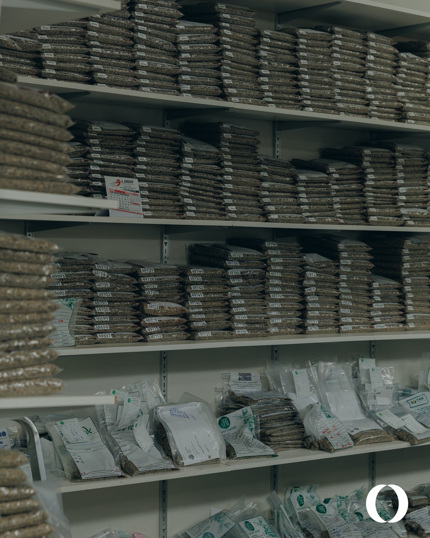 Contenção no Volume, Oportunidade na Estratégia: O Mercado de Café no primeiro semestre de 2026
O setor cafeeiro brasileiro iniciou 2026 em ritmo de compasso de espera. Janeiro registrou uma queda significativa no volume de exportação, cerca de 30% menor que no mesmo período do ano anterior, sinalizando um arrefecimento na demanda externa ou um ajuste nos estoques internacionais. Essa retração reflete um ambiente de comercialização arrastado: produtores e corretores operam contidos, e a venda antecipada da safra 26/27 atingiu apenas 8%, bem abaixo da média histórica de 17%, segundo a Safras & Mercado.
No entanto, nem tudo é desaceleração. Apesar da queda no volume geral embarcado, o Brasil mantém sua rota de valorização no exterior. O mercado de cafés especiais continua aquecido, destacando-se como um vetor de receita mais resiliente, com embarques sustentados principalmente para Alemanha e Estados Unidos. Esse movimento reforça a estratégia de fugir da premissa do commodity, apostando em qualidade e nichos de maior valor agregado para contrabalançar a retração quantitativa.
Mais do que um obstáculo, o momento atual pode ser lido como uma janela estratégica. A expectativa para 2026 é de uma bienalidade positiva ( ano de alta produtividade nas lavouras após um ciclo de baixa), esse cenário projeta safras mais cheias e representa um momento oportuno para o produtor respirar e reorganizar as finanças. Dados da Cecafé mostram que a exportação de café verde caiu 27% em fevereiro de 2026. No acumulado de julho de 2025 a janeiro de 2026, o volume exportado recuou 22%.
Com a perspectiva de colheita farta, o cafeicultor ganha poder de barganha e previsibilidade para se sentar à mesa com instituições financeiras e fornecedores. A recomendação do mercado é usar essa janela de safra positiva para renegociar dívidas de crédito rural e reestruturar operações de permuta ( conhecido como: barter - troca de insumos por safra). Se 2026 começa lento em embarques, ele também oferece a chance de começar mais organizado, equilibrando o fluxo de caixa antes que os grãos da nova safra comecem a chegar aos armazéns.
Fontes: CCCMG, Conab, Notícias Agrícolas & Canal Rural