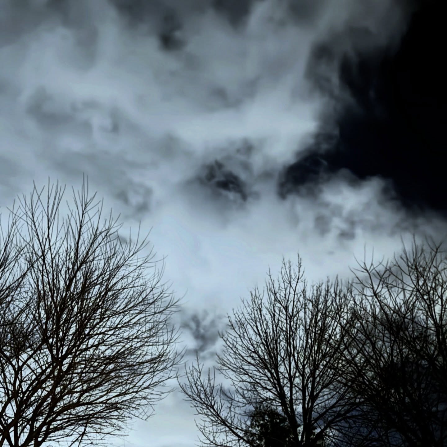 Winter skies have their own kind of drama. âď¸
Even on the coldest nights, the clouds move like brushstrokes across the skyâlayers of texture, contrast, and mood. Nature has always been one of my favorite sources of creative inspiration. The way light, shadow, and movement come together up there feels a lot like designing⌠you just have to look up.
Sometimes the best ideas start with a quiet moment outside.
#CBirdCreative #NightSky #WinterSky #CreativeInspiration #DesignInspiration