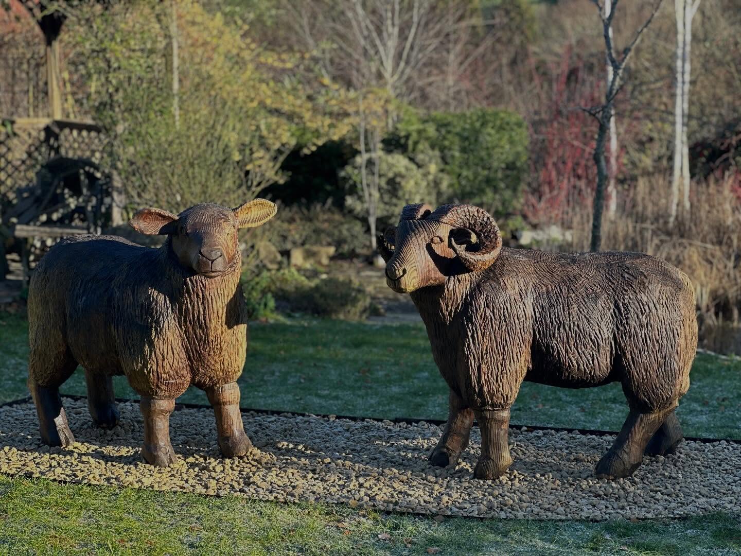 I recently had the opportunity pleasure of bringing these amazing carved life-sized sheep sculpture back to life. This beautiful pair were originally carved by another artist around a decade ago and were in need of some TLC.
It was a pleasure to rejuvenate these wonderful sculpture, cleaning back the exterior surface from built up organic debris and making some necessary repair to ensure they have a long life left to be admired. The ram received a handmade set of Metal horns to give him back his armour and return him to his former glory.
So wonderful to be able to give a cherish set of sculpture a new lease life and pride of place setting in our wonderful clients garden. If you have some existing sculpture that may need some TLC or a new piece for your garden/home, please reach out, weโd love to discuss how we help.
#art #sculpture #wood #carving #sheep