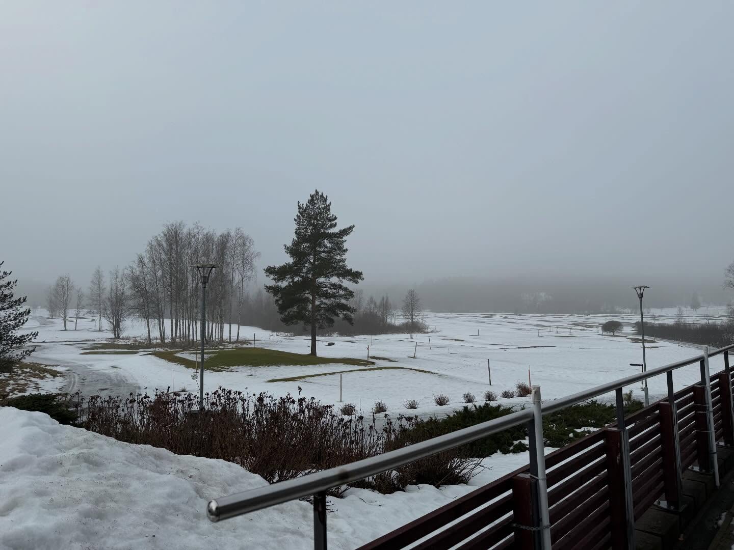 Päivän tilanne. +3 C