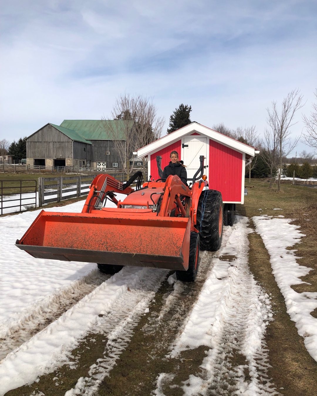 Thank you @della.to for your help moving the first flock out of the barn and into their summer home! They are much happier now!