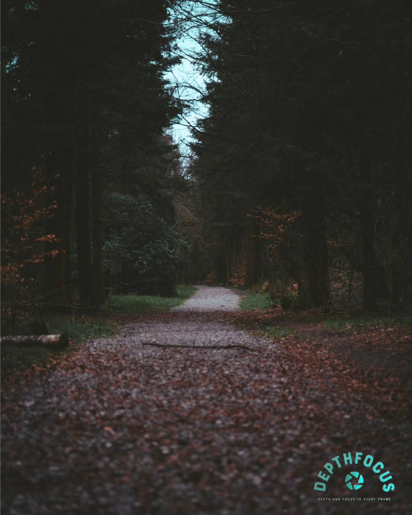 Some paths don’t need a destination.
Thomas headed into the woods and found this quiet stretch of trail, framed by towering trees and soft light.
A reminder that sometimes the atmosphere tells the whole story.
Captured by Thomas for DepthFocus.
At DepthFocus, we’re always chasing light, texture, and atmosphere.
DM us to help you create your next story.