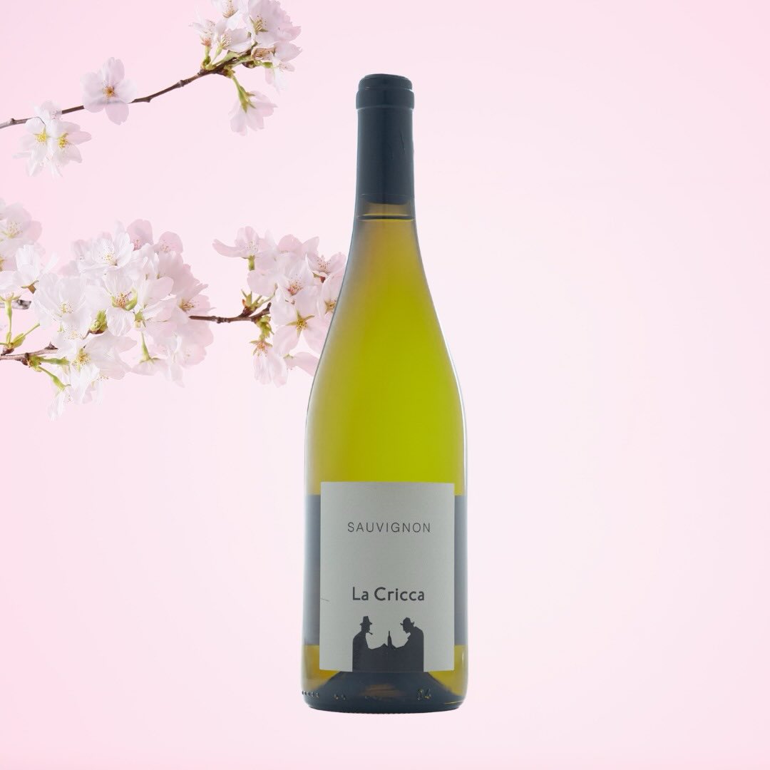 🌸 C’è un vino che sa di primavera. È arrivato.
Fresco, aromatico, sorprendente — il nostro nuovo Sauvignon DOC Friuli Colli Orientali è il compagno perfetto per la tavola di Pasqua e per tutti i pranzi all’aperto che ci aspettano.
Benvenuta, primavera. 🥂
👉 Lo trovi sul nostro sito vinilacricca.it e nei migliori locali e ristoranti che ci scelgono ogni giorno. Chiedi di noi!
#LaCricca #NuovaUscita #Sauvignon #Pasqua #Primavera Friuli