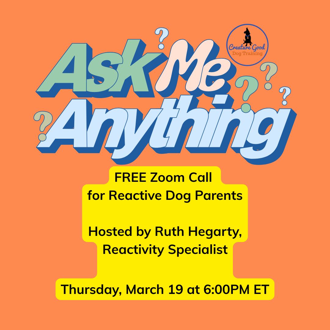 Got questions about your reactive dog? Good! Bring them to this call.
Iâm hosting a FREE live Ask Me Anything about Reactive Dogs on March 19â and nothing is off limits.
Barking and lunging on leash?
Meltdowns when guests come over?
Fear-based reactions?
Frustration?
Feeling embarrassed, exhausted, or unsure what to try next?
Ask me.
This isnât generic advice or âjust tire them out more.â
Itâs real guidance from a positive training reactivity specialist who has lived it and worked with hundreds of reactive dogs and their people.
Youâll leave with:
⢠Clear specific advice for how to help your dog
⢠Understanding of why your dog acts this way
⢠Knowledge that youâre not alone in this
If you love your dog but life with them can be stressful⌠this is for you.
Register at the link in my bio!