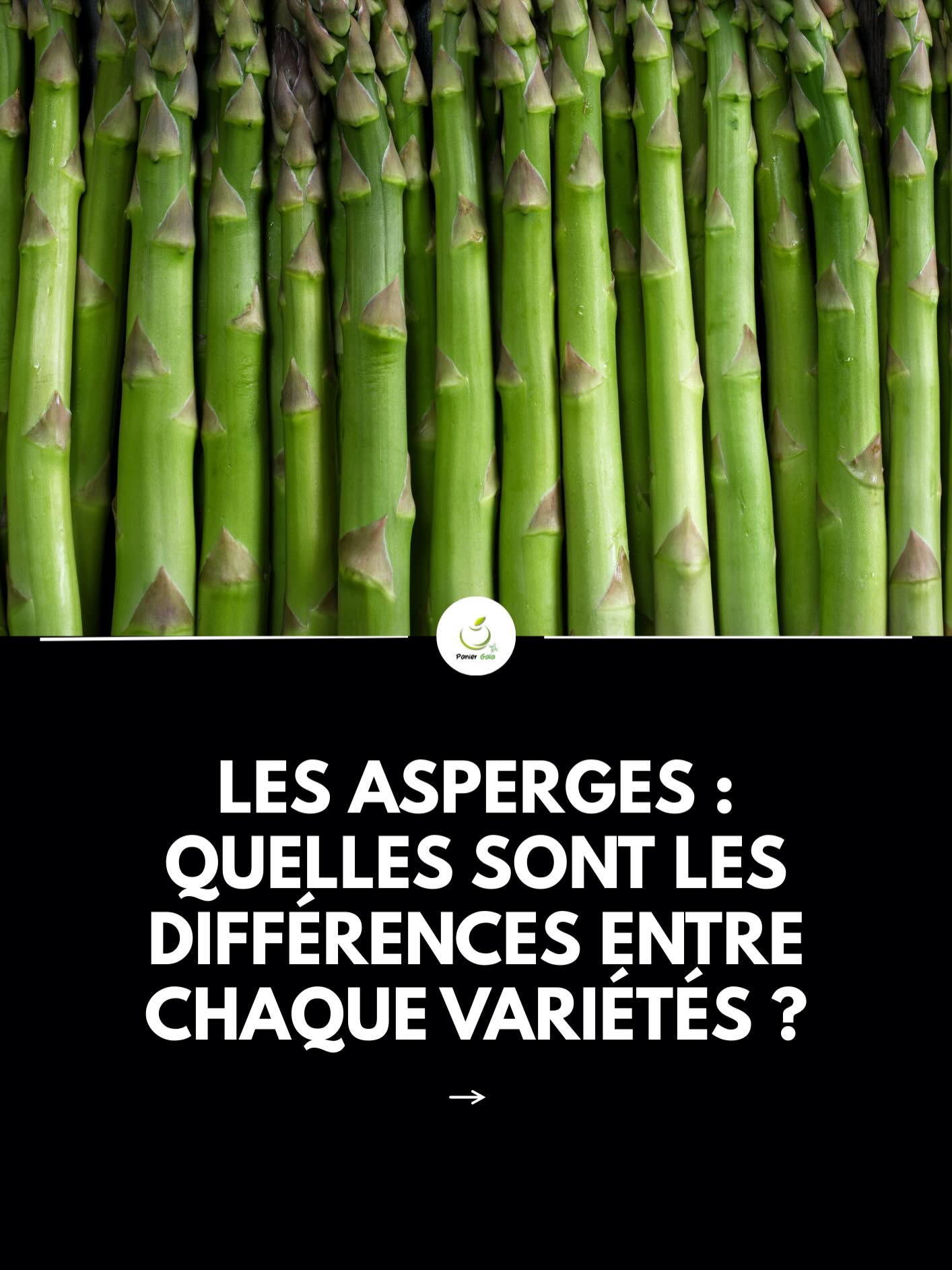 Vertes, blanches ou violettes, les asperges se distinguent par leur couleur mais aussi par leur texture. Les asperges vertes sont plus tendres et au goût végétal marqué, les blanches sont plus douces et délicates, tandis que les violettes offrent une saveur légèrement plus sucrée. Chaque variété a son caractère et permet de varier les plaisirs en cuisine. #asperges #variété