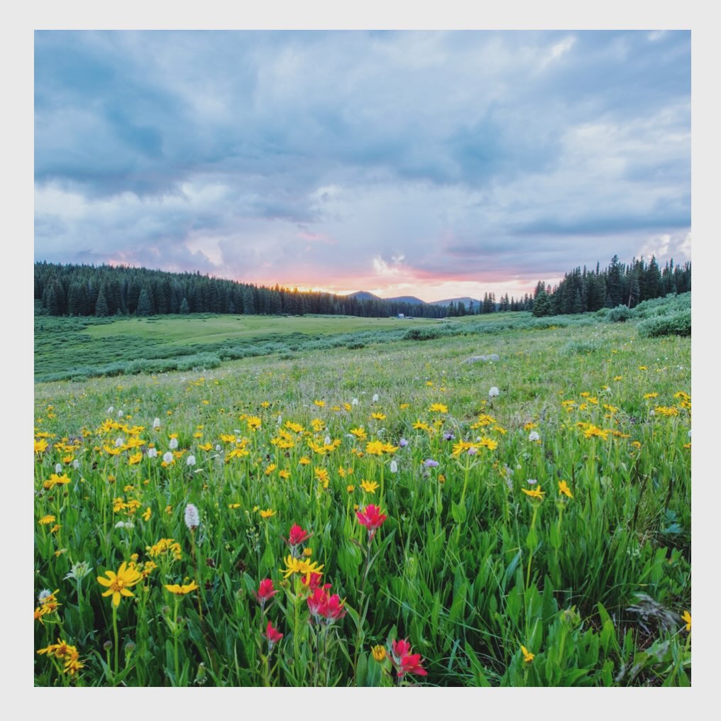 — WEEKEND — Quel est votre programme ce week end ? Nous avec ce beau soleil, on a envie de courir dans les champs au milieu des fleurs de couleurs 🌸
#weekend #fleurs #mars #2026