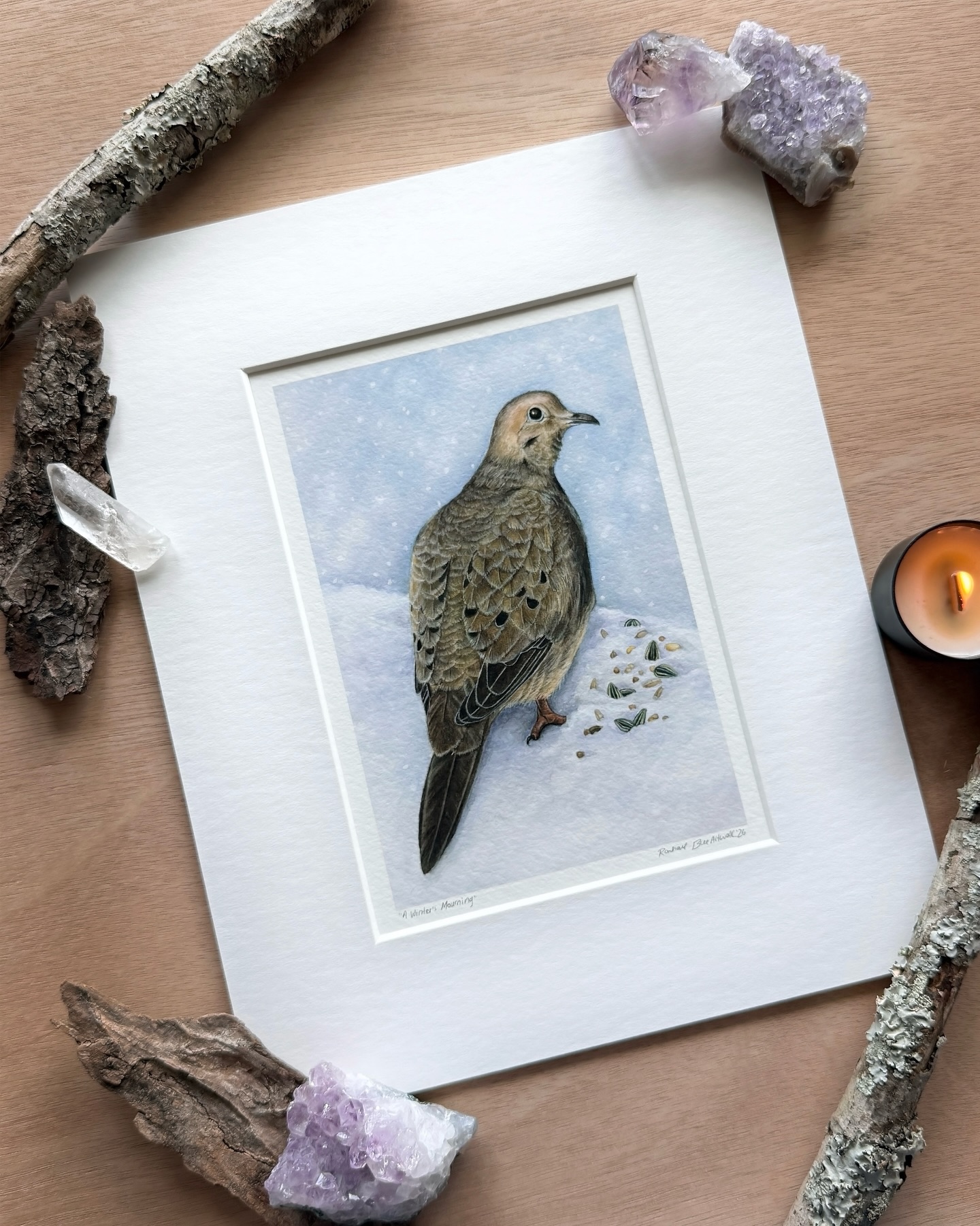 “A Winter’s Mourning” art prints are now available on my website and in my Etsy shop! 🪶Link in my bio🪶!
I also wanted to include some facts on this post about these incredible birds. Did you learn something new? Personally, I had no idea that mourning doves have the ability to suck up liquid through their beaks like a straw!
These gentle birds have such a calm demeanor. It is easy to see why doves symbolize peace. I am forever grateful for all the birds who stick around in the winter months. They always give me a sense of hope for what is to come in the spring ❤️.
#mourningdove #watercolor #birdsofinstagram #birdart #dove