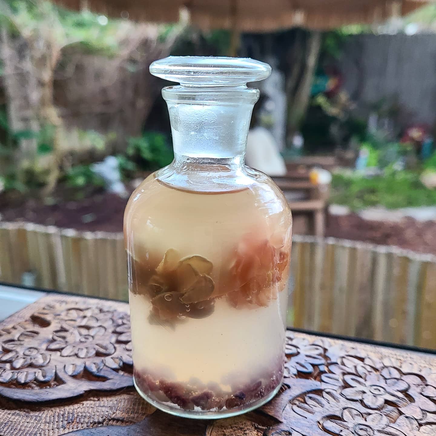 This is a Fae, Flower & Stone Snow Globe ☃️ and I've named these preserved flowers and stones "Honor".
..
..
This is my way of honoring of the majestic Kingdoms of Light, Plant & Mineral, everything thing that came before me and everything to come 🙏🌟🌛🪐🌜🌟🙏
..
..
..
..
..
..
..
..
..
..
..
..
..
..
..
..
#FaeFlowerStone #SnowGlobes #BringNatureIn #SelfCare #100%SafePersonalHygiene #OrganicLiving #OrganicLifestyle #SmallBatch #Seasonal #Colortherapy #EmotionalWellbeing #EmotionalBalance #Aromatherapy #Crystals #StoneLovers #Forgiveness #FlowerEssenceTherapy #EssentialOils #Sarasota #SarasotaFlorida #SouthwestFlorida #TwelveStep #AlAnon #Meditation #NightBloomingJasmine #Lepidolite #RockLove