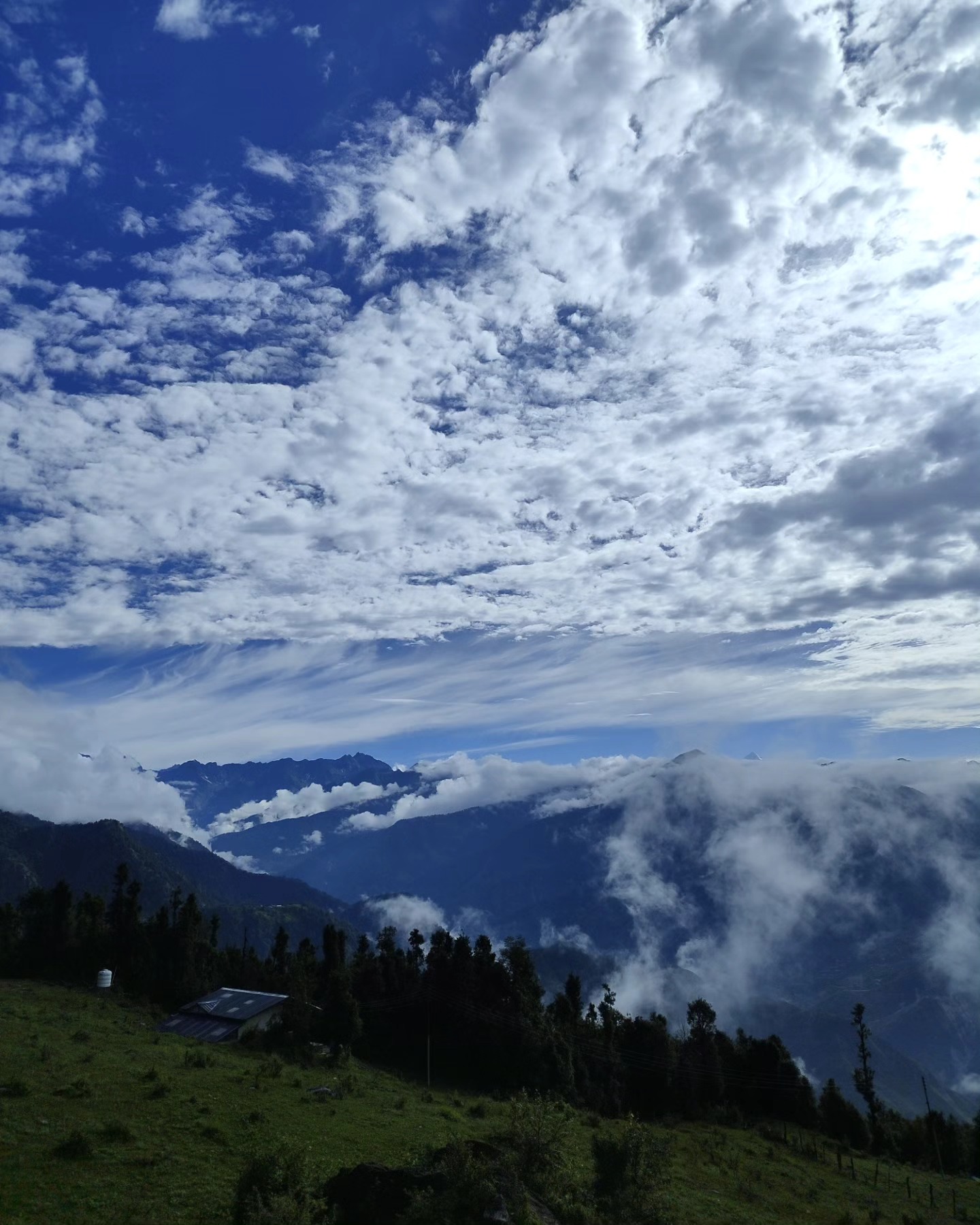 Nature’s palette rests in every corner.
#nature #himvanliti #himalayas #uttarakhand #monsoon #clouds #morning #beautiful #green #travelgram