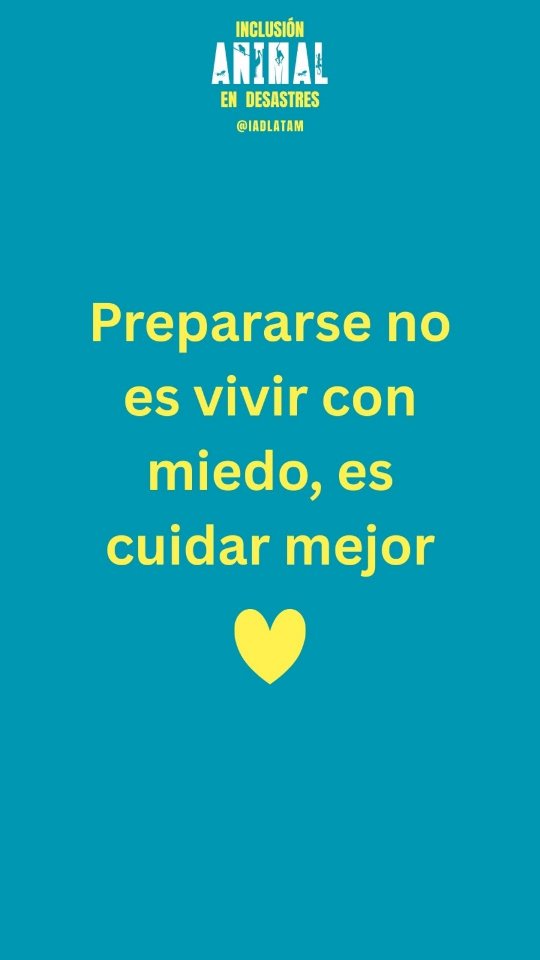 La preparación para desastres también es una forma de cuidado. Incluir a nuestros animales en el plan hace toda la diferencia. En mis talleres y charlas educativas enseño cómo armarlo paso a paso; por ahora, te comparto este checklist para que empieces 📋🐶🐱🐷🐮🐻🐸
✨️La pañoleta que uso es de @deloof_60 y el 30% de la ganancia de estas (y TODAS) las pañoletas va para apoyar el trabajo del refugio animal @inti_wara_yassi 🤩
#inclusionanimalendesastres #amor #animal #perro #gato