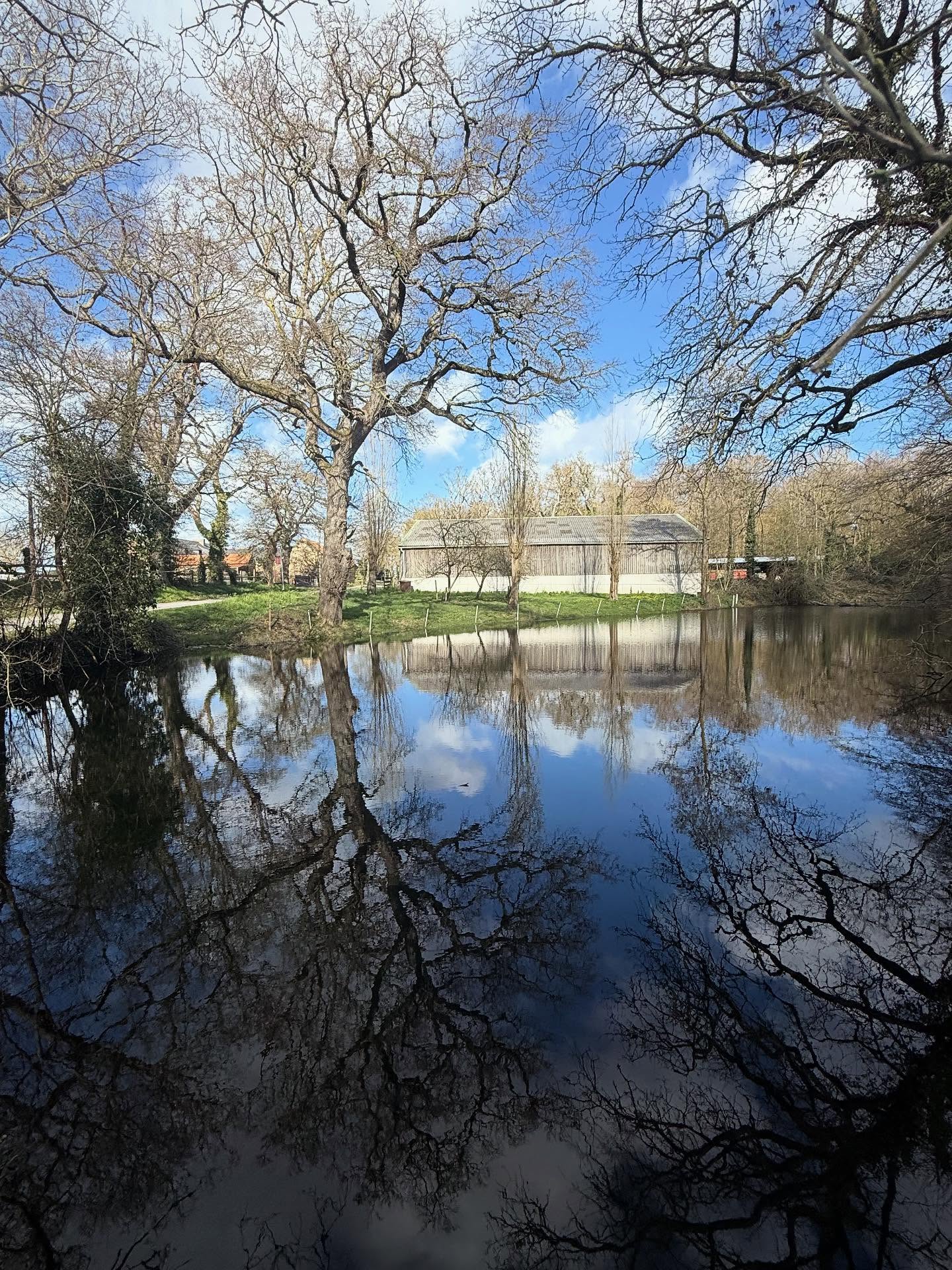 Beautiful Brittany 🌳