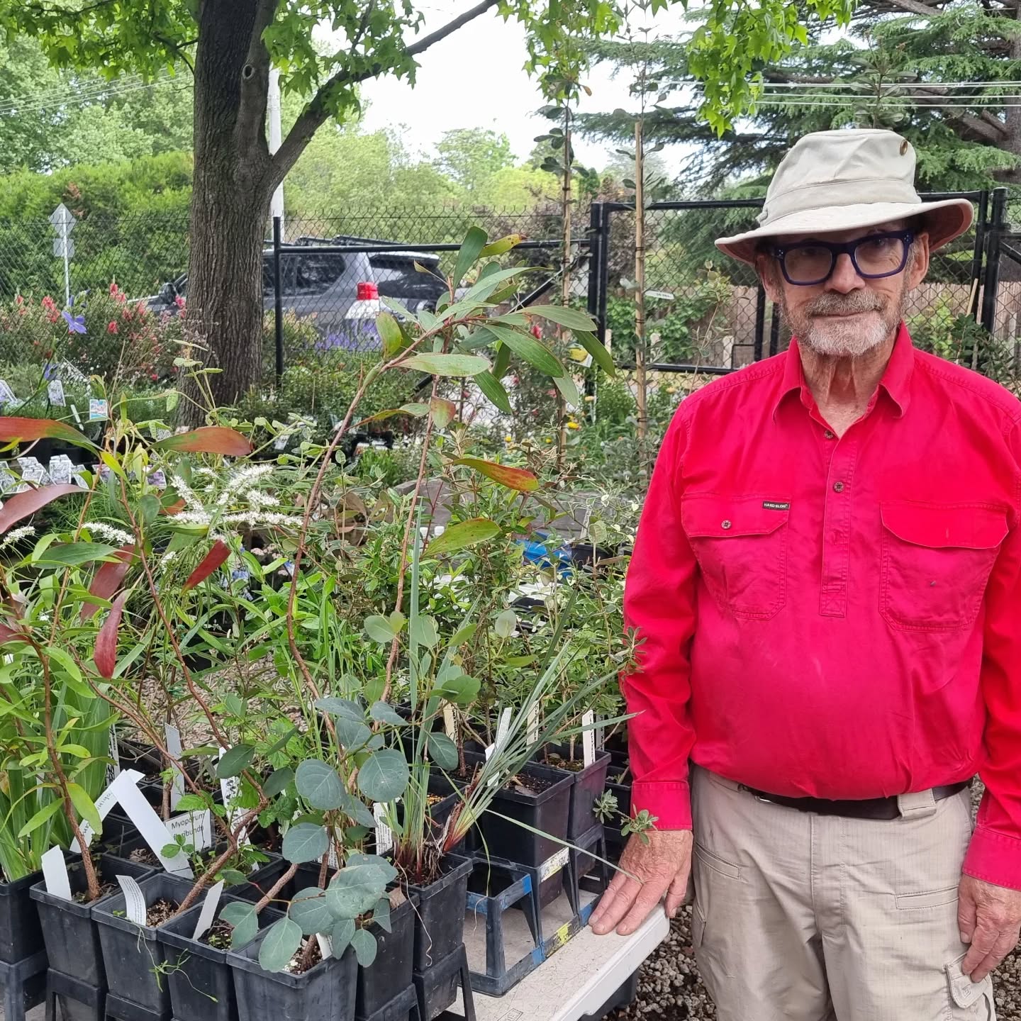 Bill is back!!
Bill from Cuumbeun Native plants is back for Autumn with his local species (and a few others)...locally sourced, locally grown, locally sold.
Come and have a chat and buy from Bill today only, in the nursery until 3pm.