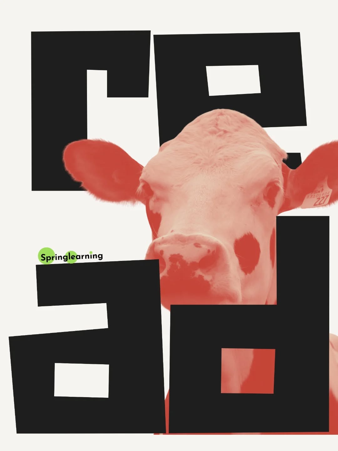 #blossom #in #knowledge #books #stories