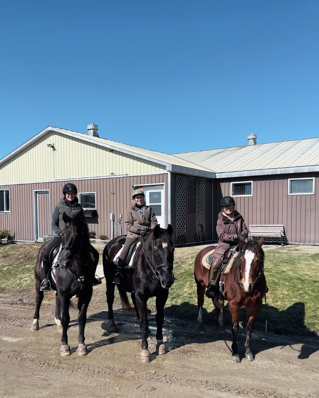 International Women’s Day well spent ☀️🦄 (Thank you George, for representing the mares 💖)
#internationalwomensday #teamtuff #tufftherapeuticridingfoundation #tuffriding