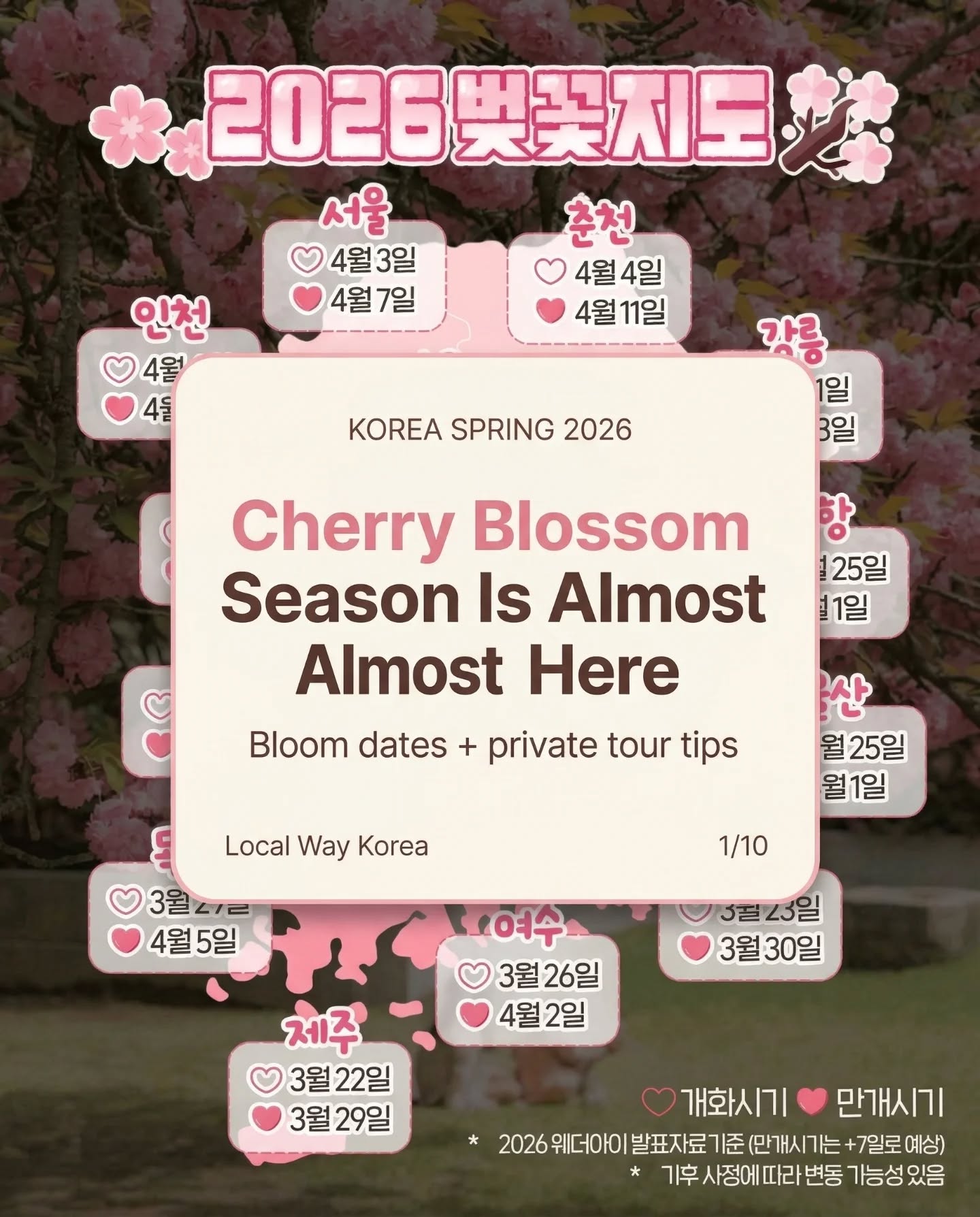 Cherry blossom season in Korea is almost here—and Seoul will be in full blossom fever. 🌸
If you’re visiting Korea this spring and want iconic photos (palaces, hanbok, and the best cherry blossom walks) without the weekend chaos, a private tour makes all the difference.
Here’s how to get the best experience:
• Choose weekdays over weekends (crowds get intense)
• Start early for cleaner photos and calmer walks
• Build a route that fits your pace—no rushing, no guessing
We design private walking tours in Seoul for U.S. travelers who want something personal, local, and stress-free.
Ready to book your Korea cherry blossom private tour?
Visit localwaykr.com to request your date.
