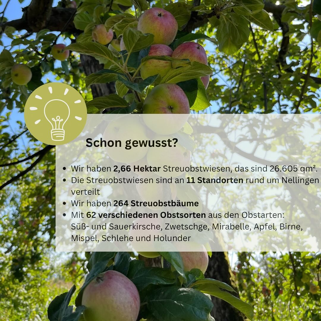 Heute ist Tag der Streuobstwiese und darum laden wir euch morgen zum gemütlichen Verweilen, Informieren und Verkosten von unseren Produkten der heimischen Streuobstwiesen ein. Samstag, 27.04.2024 ab 16 Uhr Wilhelmstraße 6 für das leibliche Wohl ist bestens gesorgt.
Zu diesem Anlass haben wir einmal ein paar Fakten zu unseren Streuobstwiesen gesammelt:
#edelbrennereiaichele #aicheleschnaps #ostfildern #tagderstreuobstwiese #tagderstreuobstwiese2024 #regional #badenwürttemberg #streuobstwiese