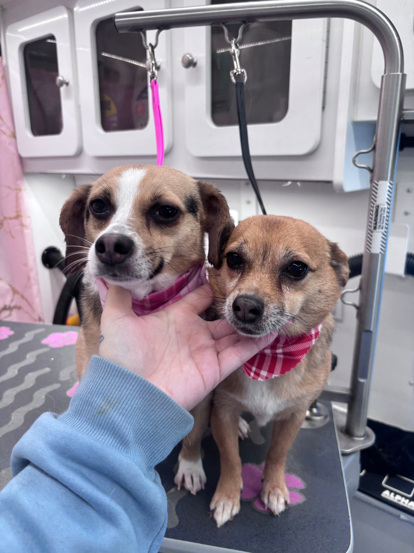 Our favorite spaw day is a sibling spaw day 💅🏼🤍