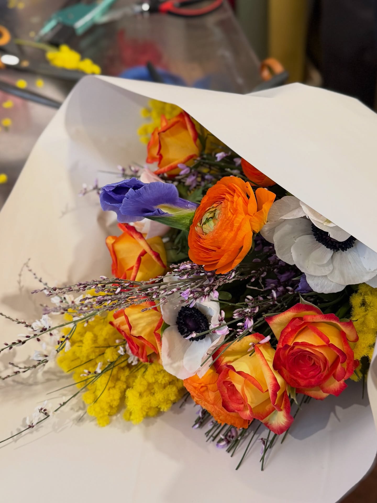 Happy International Women’s Day!! 😊🌷🌾
#mimosa #art #kevinberlin