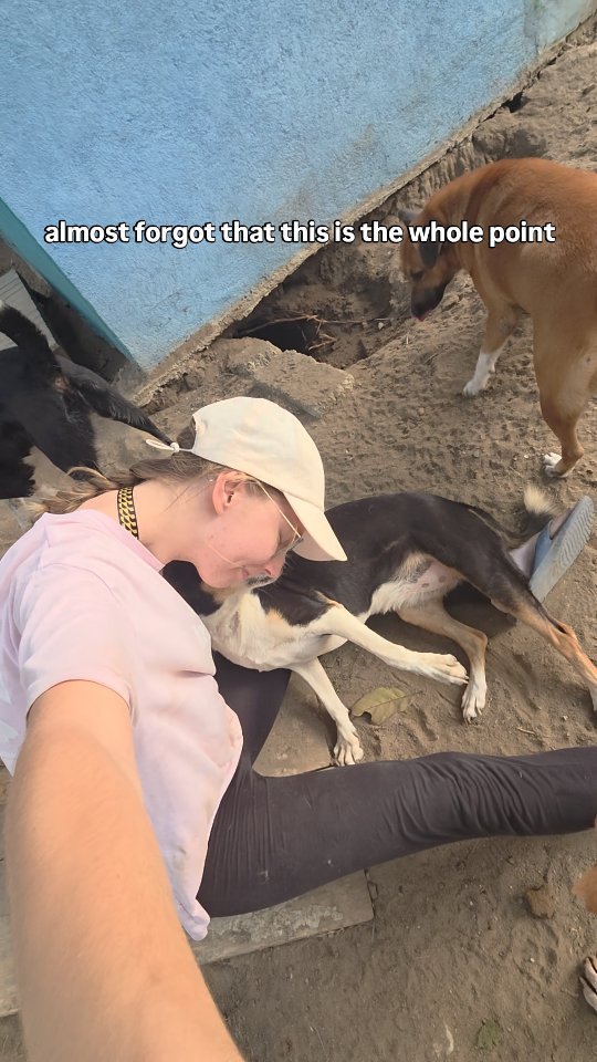 In the middle of cleaning, feeding, and caring for so many animalsâŚ
sometimes you almost forget the most important part.
The love, the trust, the quiet moments like this. đž
Every dog here is waiting for someone to call their own.
Which one is yours? â¤ď¸
#rescueanimals #shelterlife #adoptdontshop #dogsoftheworld