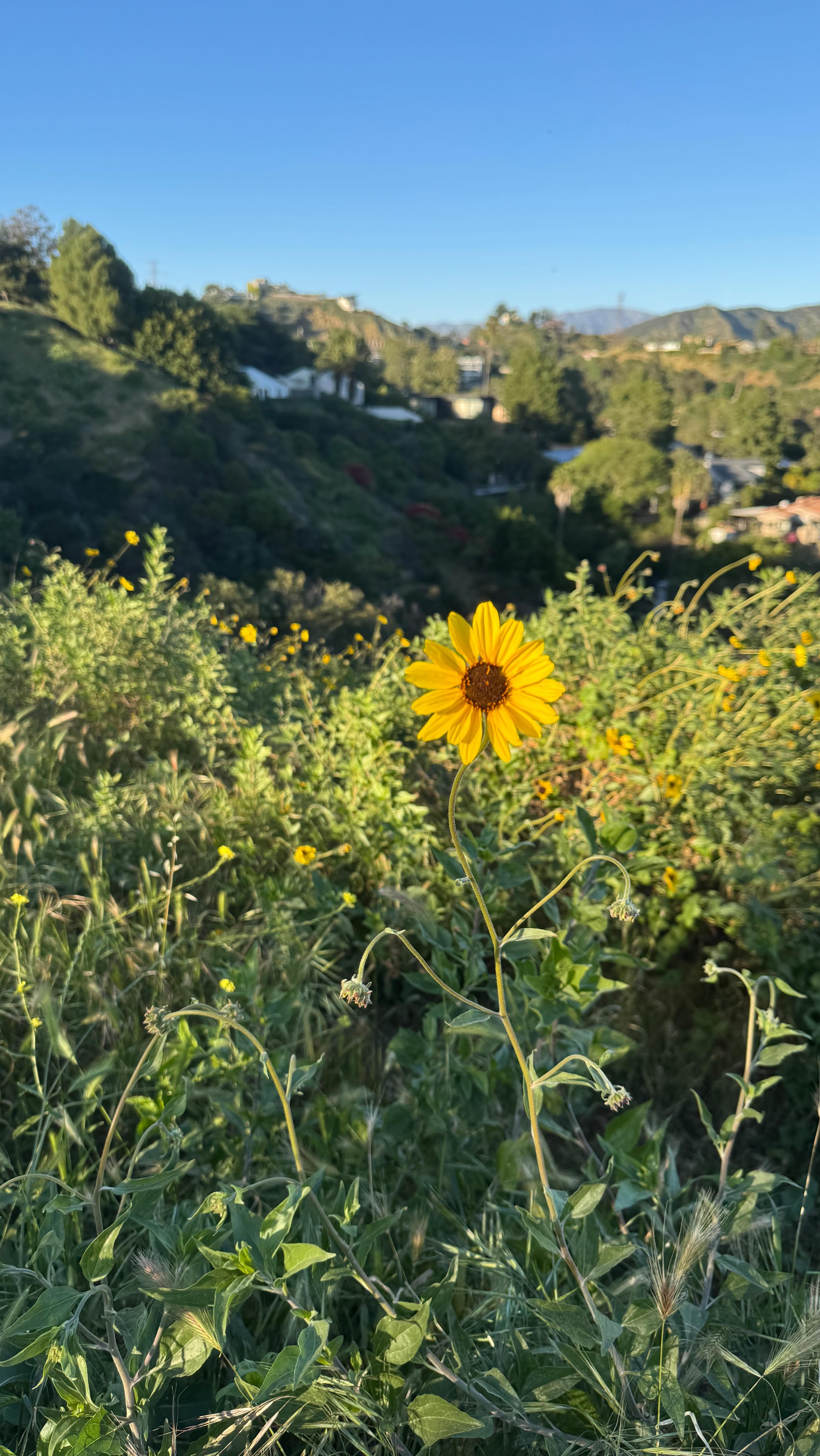 A moment of exhaling anything that is not meant to be in your field. ✨✨✨
Full meditation to connect to your light and the light of the Divine available on Spotify, Apple Podcasts and YouTube 🩵
#meditation #affirmations #light #spirituality #energeticclearing