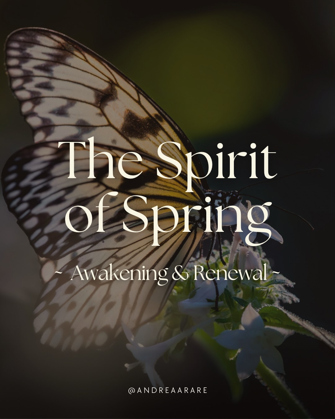 Spring reminds us:
You do not need to rush into blooming.
First, feel the return of life within you.
What within you is ready to awaken, not because you force it, but because the time has come?
Swipe ➡️ to learn more about Spring’s Energy 🌷
#spring #cyclicalliving #wheeloftheyear #naturewisdom