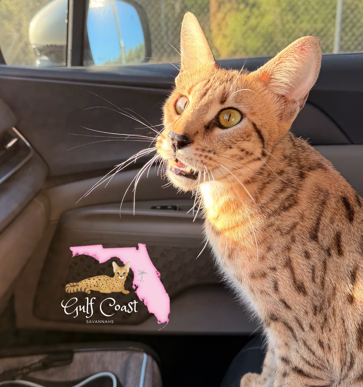 She’s in for surgery now 🙏🏻 continued prayers requested