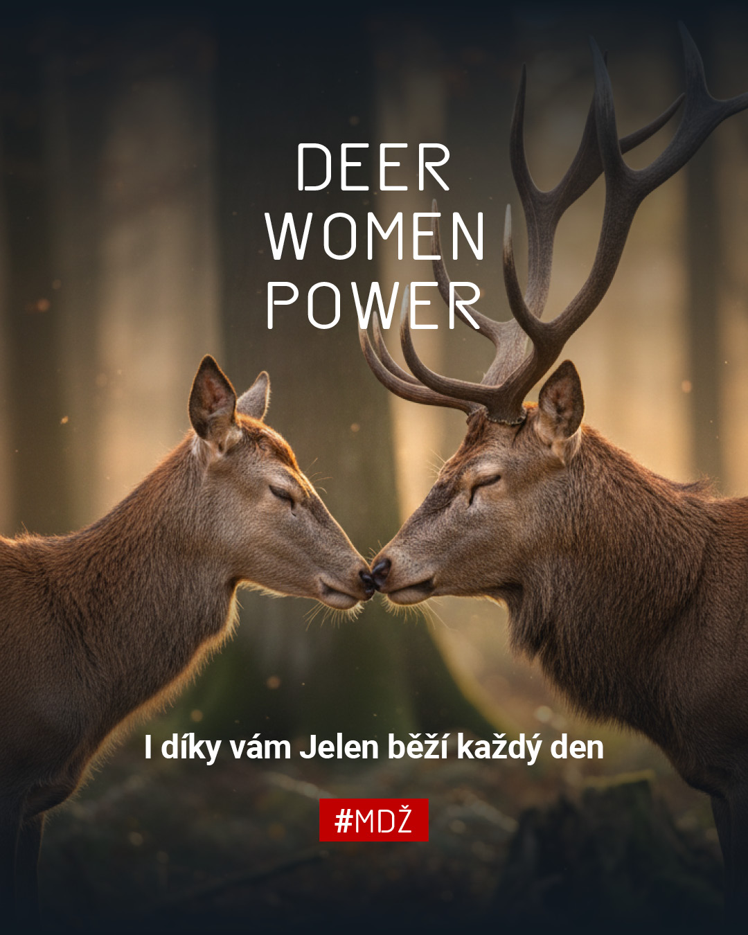 Dnes slavíme Mezinárodní den žen a chceme říct jedno velké děkujeme všem ženám v Červeném Jelenovi. ❤️
Každá z vás je součástí toho, proč Jelen funguje tak, jak funguje – v kuchyni, na place, v kanceláři i v zákulisí.
Děkujeme za energii, profesionalitu, péči o hosty i za atmosféru, kterou každý den vytváříte.
Děkujeme Klárko, Zuzko, Veronico, Inno, Jani, Evi, Svitlanko, Verčo, Kristy, Adélko, Kristy, Stázko, Aničko, Olexo, Sandro a Klárko!
A přejeme krásný Mezinárodní den žen. 🌸
#cervenyjelen #mdž