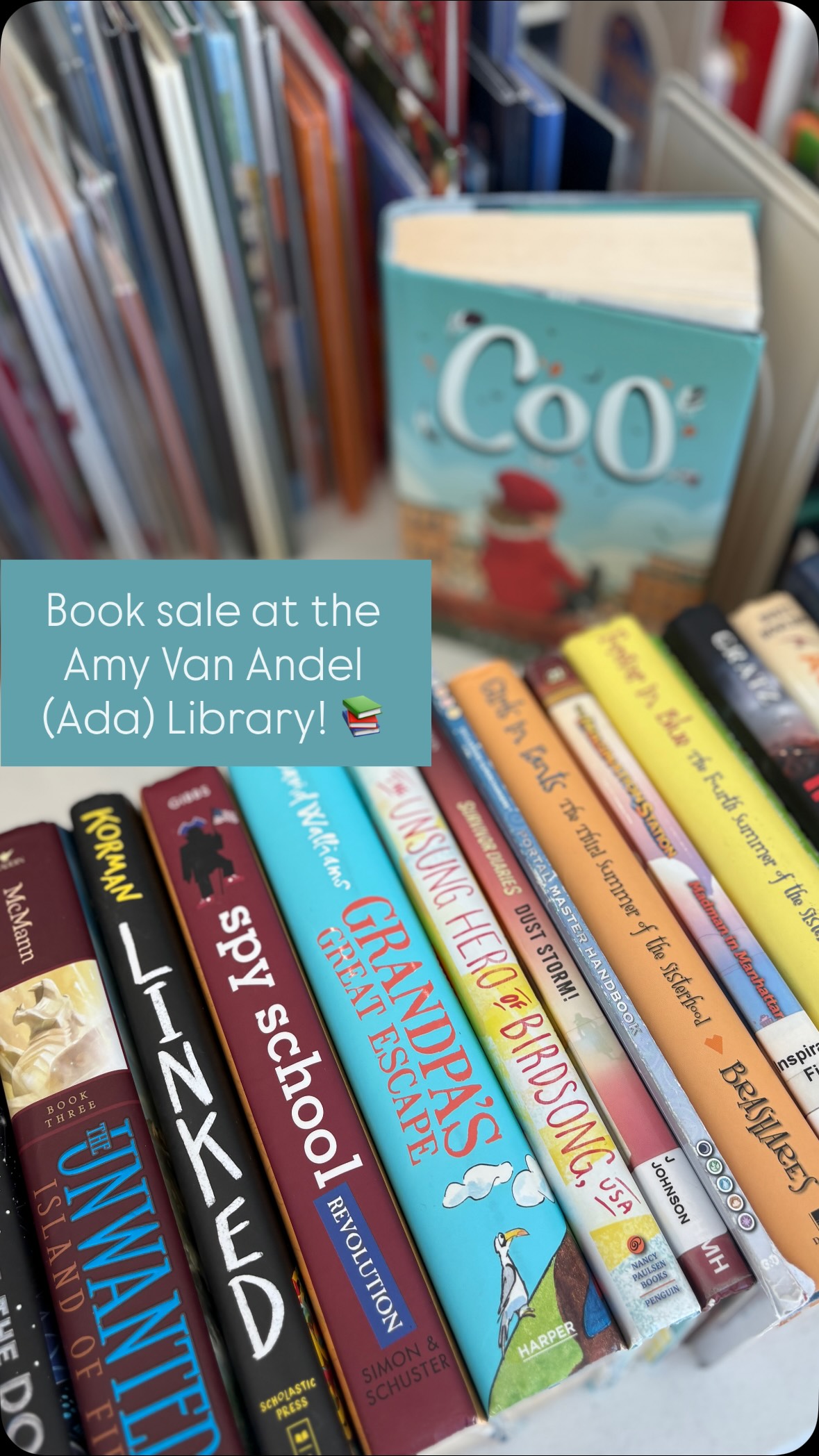 Today’s the day! Educators: grab your teacher pals and enjoy this beautiful day in Ada. Shop a huge selection of gently used books, sip refreshments, and enter to win a teacher-themed, book-ish giveaway basket!
Hope to see you there!
📚😍☀️
This pop-up sale is also open to @adalibraryfriends members and volunteers!