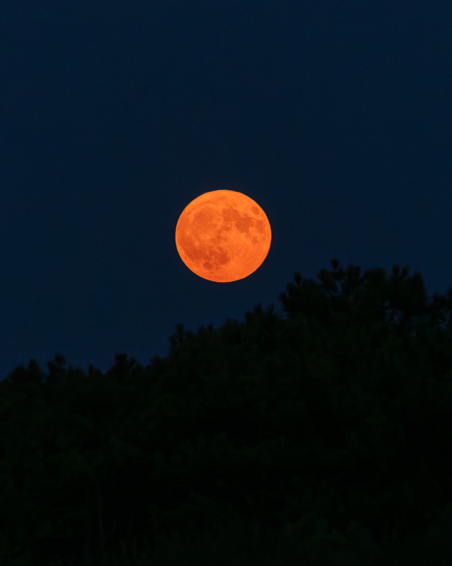 Lundi flamboyant. #mimizan #mimizanplage #ocean #sun #moon #lune #superlune #sunsetlovers #sunset #sunsetphotography #coucherdesoleil #supermoon #jamaissansocean #fireball #landestourisme #mimizantourisme #mimizanbeach #surfphotography #biscarosse #contis #hossegor #vieuxboucau #seignosse #photographelandes #photographemimizan #landes #leslandes #nikon #manonduport