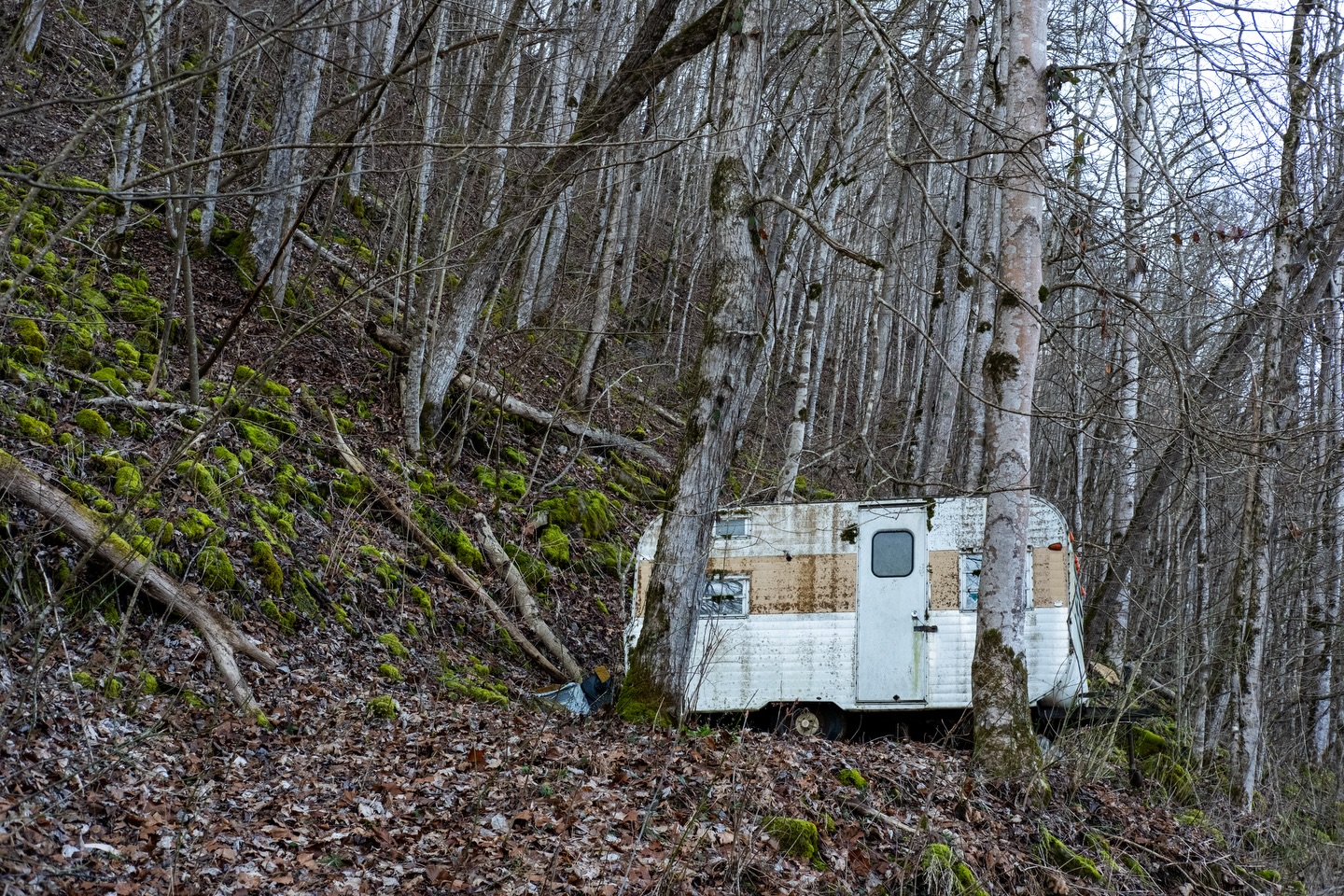 Life in Appalachia.
Southwest Virginia
Camera: FujiFilm XT-5
Lens: FujiFilm 35mm f2.8
No tripod
#appalachian #life #camper #loveva #virginia