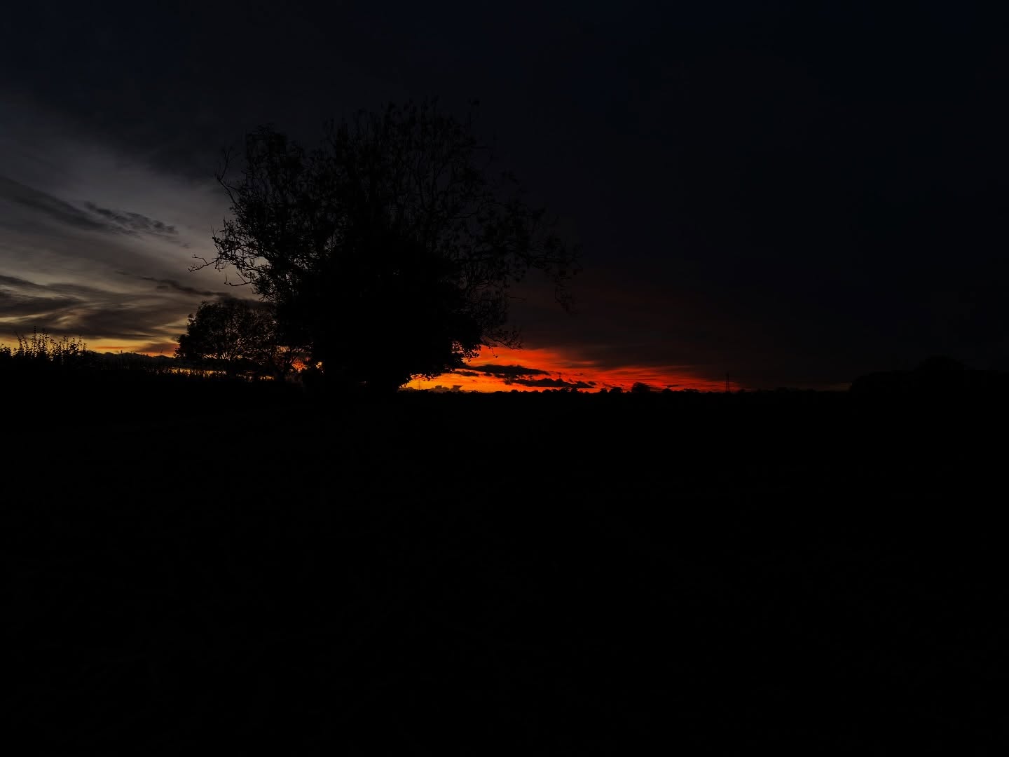Can’t help but like this sunset!
☝🏼 The button is right there, what harm could it do. 🥰
#photographer #sunset #sunsetphotographs #treephotography #silhouettephotography