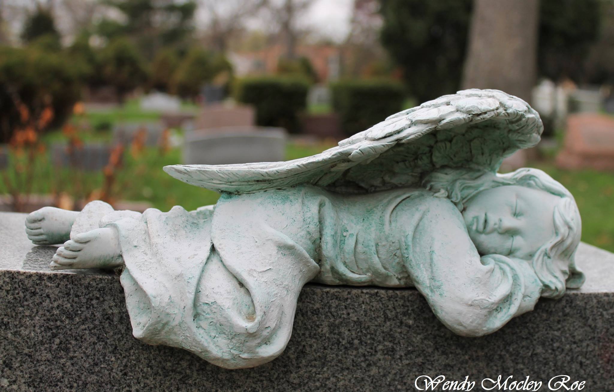 Town of Maine Cemetery, Park Ridge, IL
#cemeteryphotography #cemeteryshots #cemeteryangel #angels #cemeterywandering #cemeteryscene #parkridgeil #townofmainecemetery #tombstonetravels #taphophile