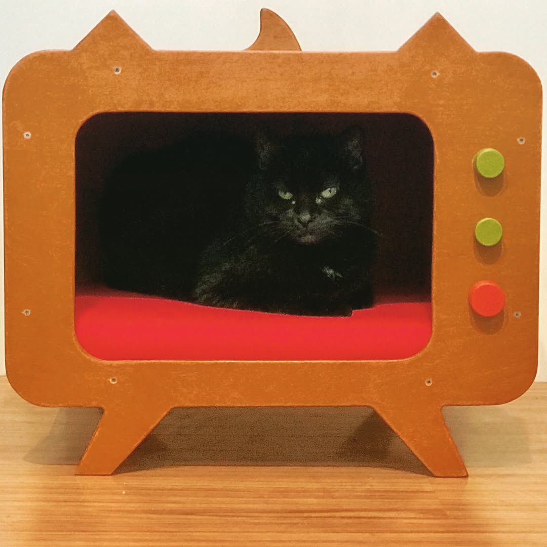 Yeni Ürün! Podo Retro Cat TV! Ekstra %10 İndirim Fırsatı ve kapıda ödeme imkanı ile şimdi Satışta! Kedinizi TV'de izleyin! Kim kedisini TV yıldızı olarak görmek istemez ki?! Bu mini retro TV kedinizin yeni takıntısı, sizin ise yeni keyfiniz olacak. :) Birbirinden güzel pozlar yakalamanızı sağlayacak! 😻📺 ❤️. https://shop.podo.com.tr/podo-retro-cat-tv