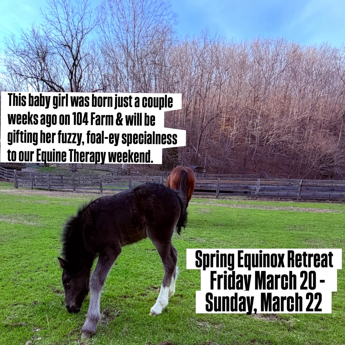 Let’s go touch some grass. And put our feet in the water. Let’s dream under the stars and safely come into contact with what is.
Join us ⛲️
Limited spots! 10 total. Scholarship available. All are welcome. 🏳️⚧️🌈🦄
Maybe this is exactly the thing you need?
Register at : watershedcoop.org/retreats
Or follow the link in our BIO