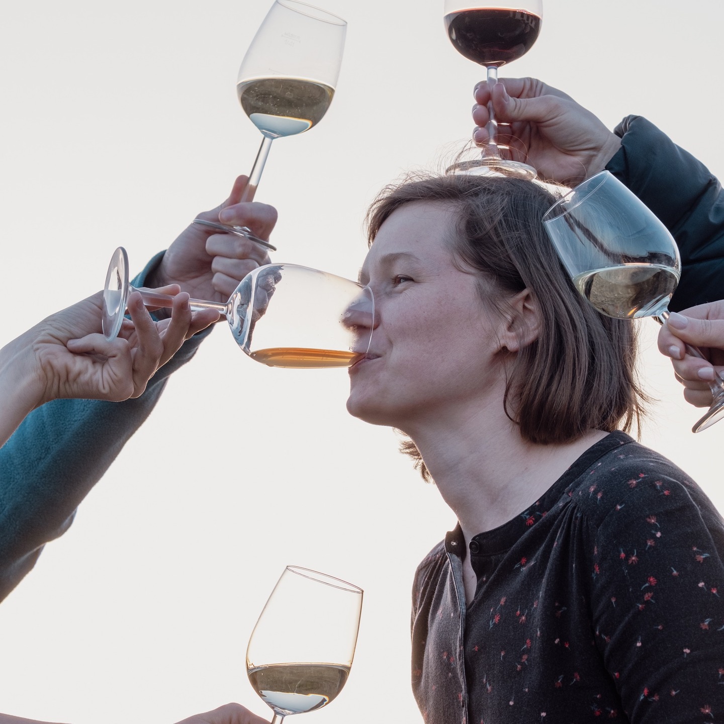Heute feiern wir Frauen, die mit Leidenschaft, Mut und Hingabe Großartiges schaffen. Elisabeth ist in einem Drei-Mäderl-Haus aufgewachsen – umgeben von starken Frauen, die mit viel Einsatz und Leidenschaft gearbeitet haben. Frauen, deren Arbeit in der Landwirtschaft und dem Weinbau oft selbstverständlich, deren Sichtbarkeit aber lange nicht dieselbe war.
In einer Männer-dominierten Branche ist es speziell für junge Frauen oft schwerer Fuß zu fassen und die Anerkennung zu erhalten, die ihnen zusteht.
Die Winzerin steht heute mitten in ihren neuen Weinen – ihrem bereits dritten Jahrgang und der ist, wie das vergangene Jahr, ganz besonders geworden. Jede Entscheidung und jeder Handgriff machen diese Weine einzigartig und tragen ihre persönliche Handschrift.
Auf alle starken Frauen – im Weinbau und überall sonst. 💪🍷 #neuerjahrgang #internationalerfrauentag #aufallefrauen #nichtnurheute