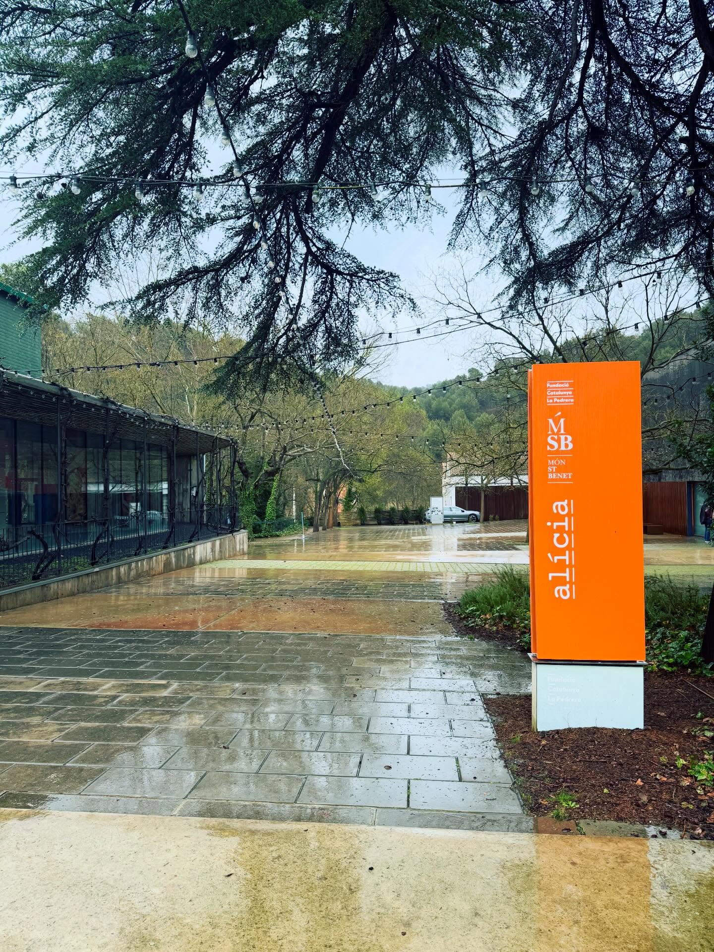 Foundations Alicia where science and food meet. These chefs and scientists are working on reproducing food in purée form that people who cannot swallow can eat. Food packed full of nutrients and vitamins and all the things they need to survive if they cannot chew or swallow easily. It’s something we don’t often think about - why happens if we get sick, we cannot chew, we cannot swallow. We lose the love for food. How do we ingest the necessary nutrients to help us though this time in hospital perhaps? 🤔 . @fundacioalicia