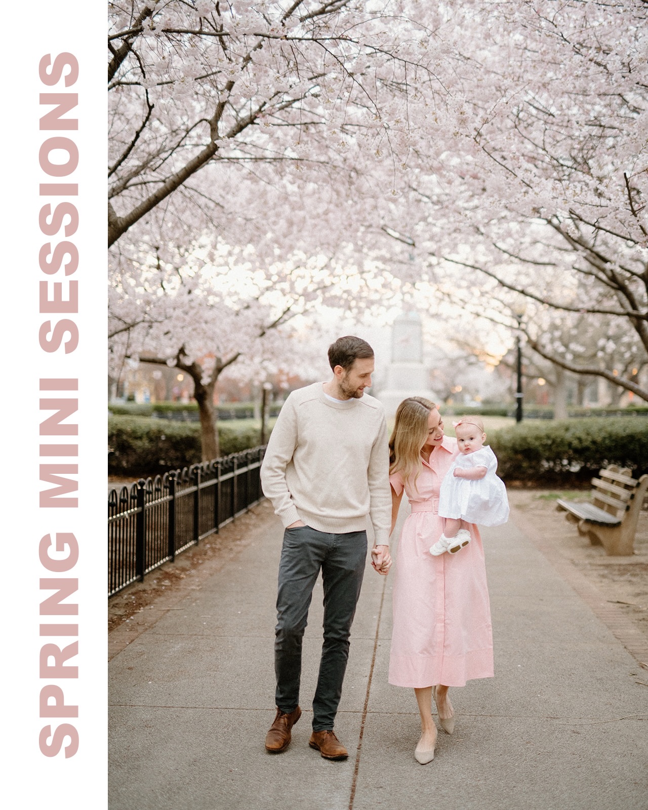 Spring in the DMV is truly magical.
For a few short weeks each year, the area comes alive with cherry blossoms, magnolias, and vibrant blooms—
creating the perfect backdrop for timeless family and maternity photos.
Each spring I offer limited mini sessions in beautiful locations around
Washington DC and Northern Virginia, perfect for families,
couples, maternity, and motherhood portraits. These short, relaxed sessions
are designed to capture the beauty of the season. 🌸
March 24th / Magnolias / Rawlins Park DC
March 30th / Cherry Blossoms / Lincoln Park DC
April 25TH /
Kwanzan cherry / Green Park
MD
April 26th / A zalea /
Green Spring Gardens VA
WHATS INCLUDED:
20 min session / 10 digital files
PRICE $350