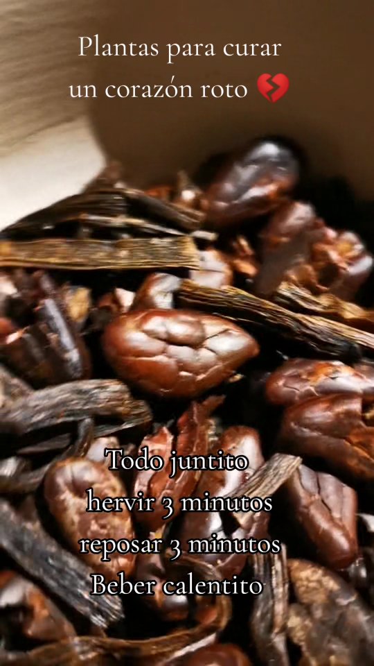 A veces lo único que queda es apechugar y el camino a la sanación es un apapacho.
#medicinaancestral #corazonroto #yollotl #apapacho #herbolariamexicana